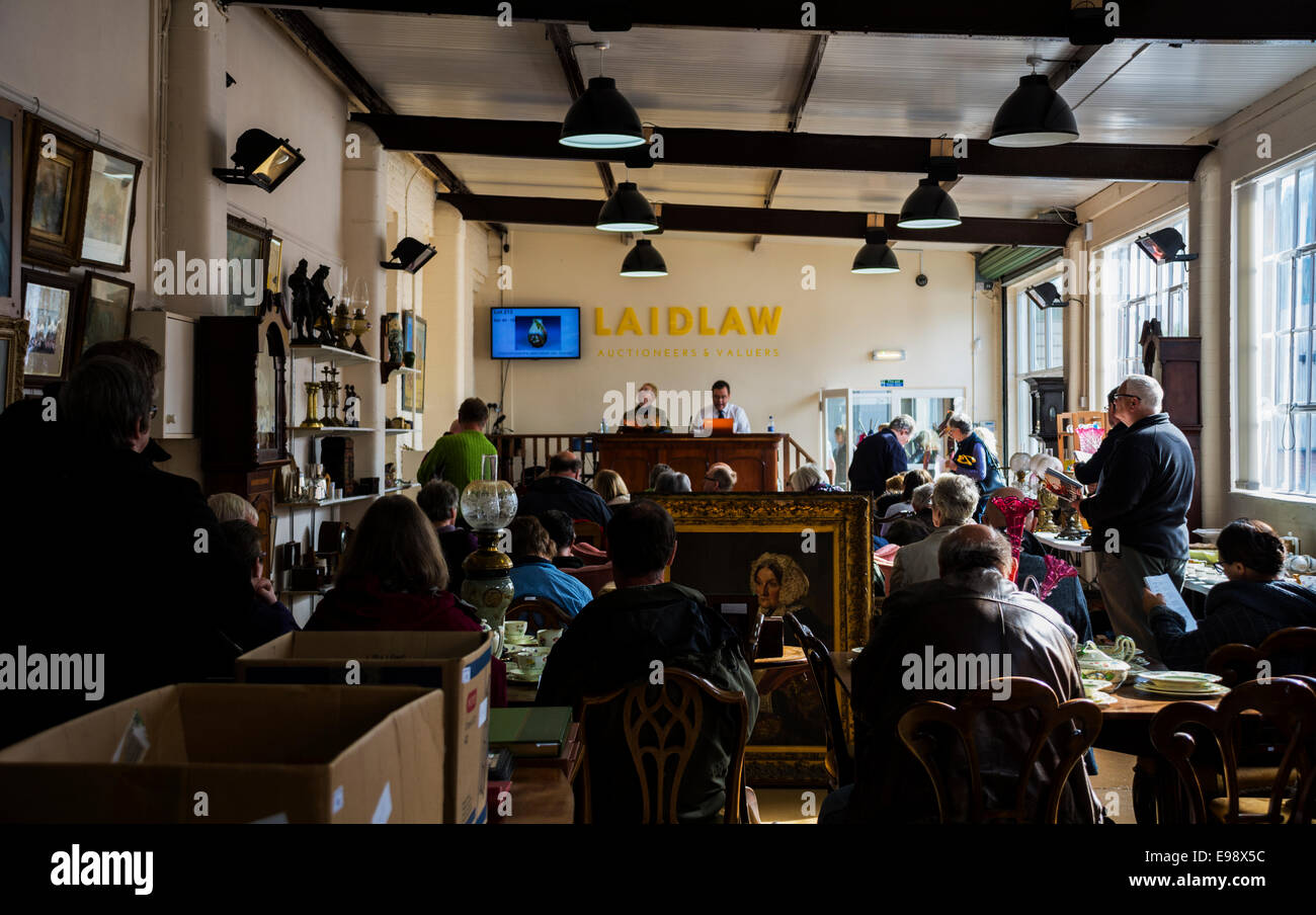 Paul laidlaw hires stock photography and images Alamy