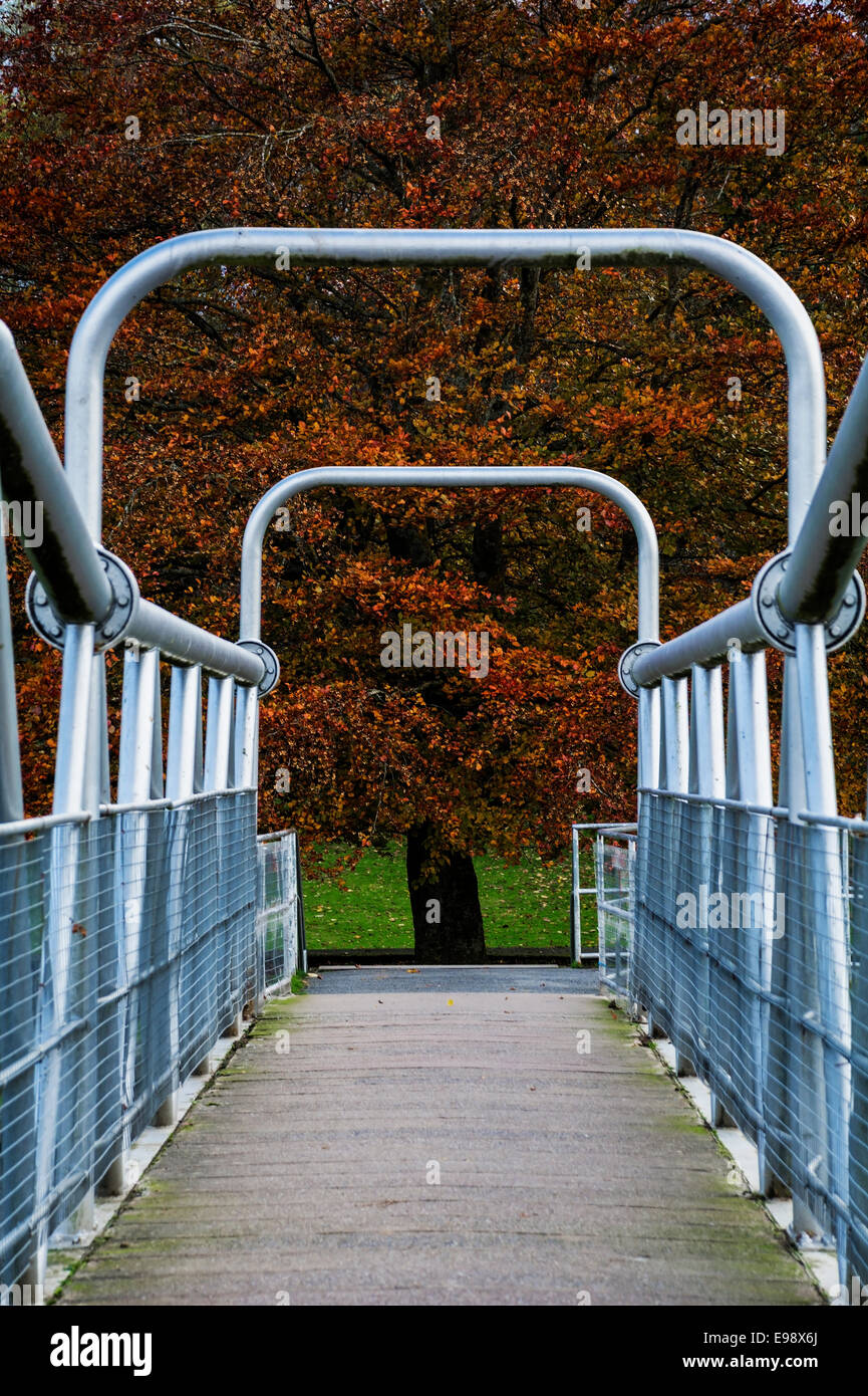 Crossing the River tweed on the Fotheringham footbridge in Peebles, surrounded by autumn colour. Stock Photo