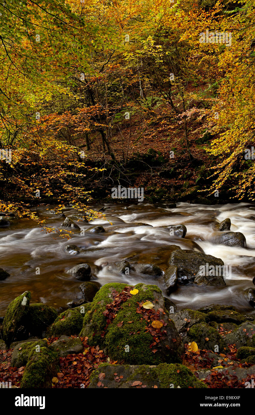 Autumn river, Aberfeldy Birks, Perth Kinross, Perthshire, Scotland, UK Stock Photo