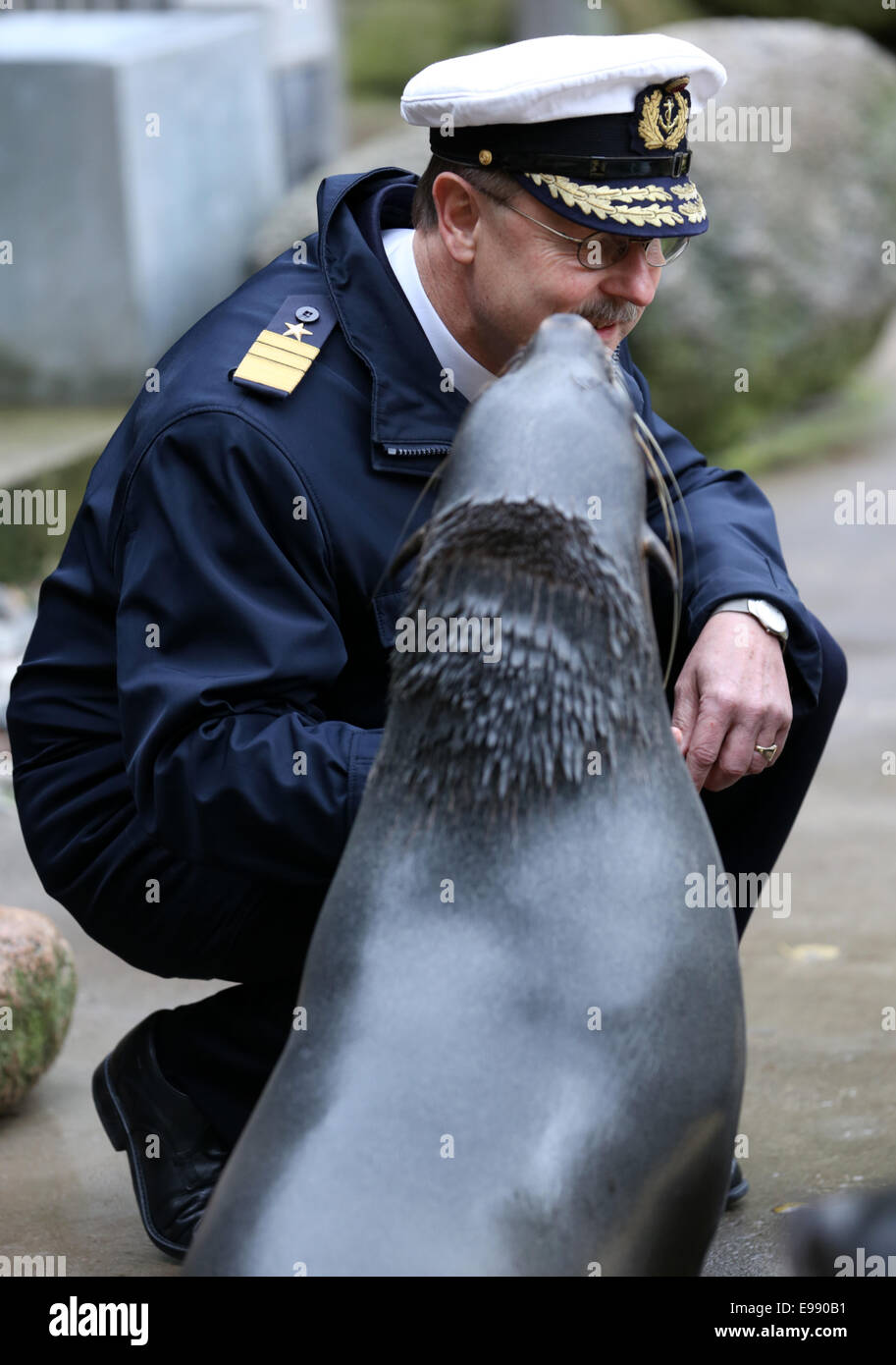 Rostock, Germany. 22nd Oct, 2014. Inspector of the Navy, Vice Admiral Axel Schimpf, says goodbye to the mascot animal, the African seal, at the zoo in Rostock, Germany, 22 October 2014. Germany's top navy officer will end his carreer in October. Credit:  dpa picture alliance/Alamy Live News Stock Photo