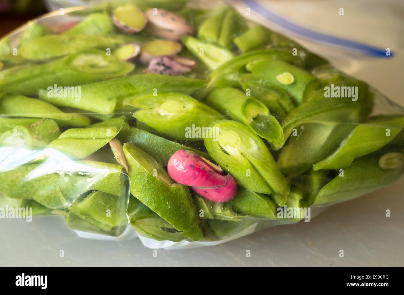Runner beans cut and wrapped ready for freezing Stock Photo