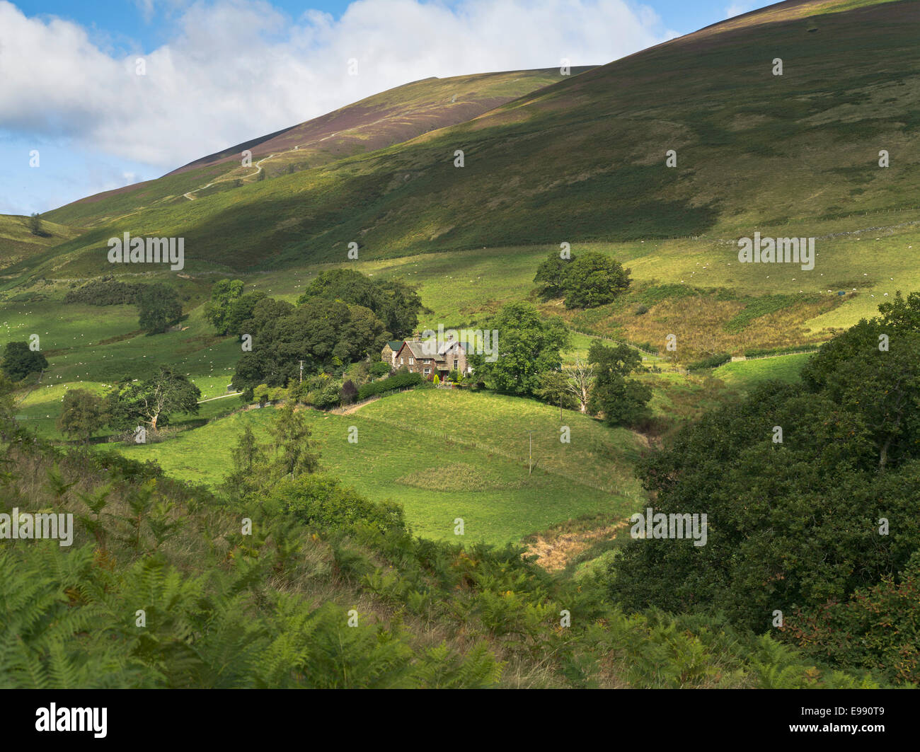 dh Lonscale Fell Cumbria England KESWICK LAKE DISTRICT Country house hill in Cumbrian countryside rural english scene hills UK Stock Photo