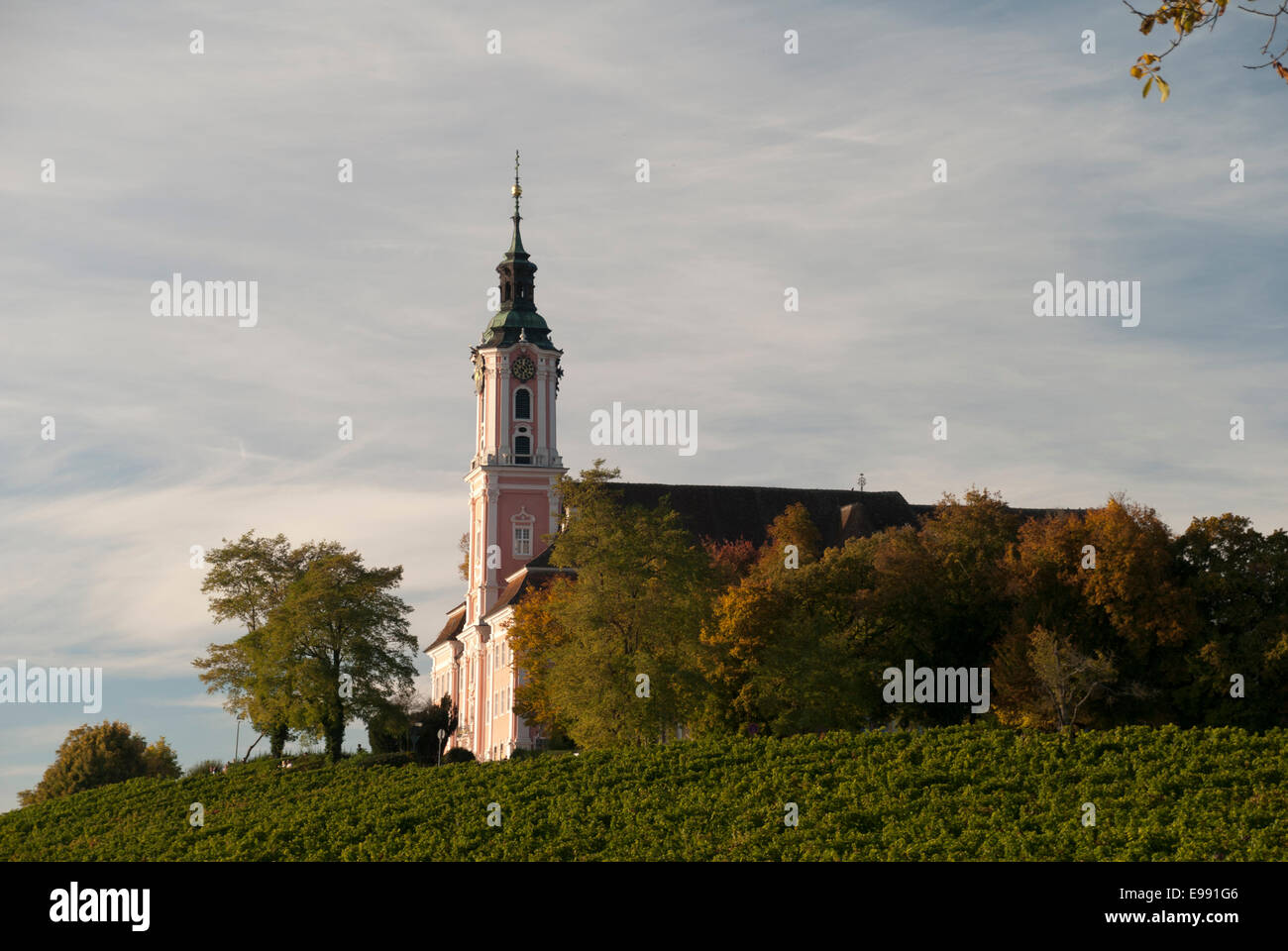 Kloster Birnau - in the middle of vine - inmitten von Reben Stock Photo