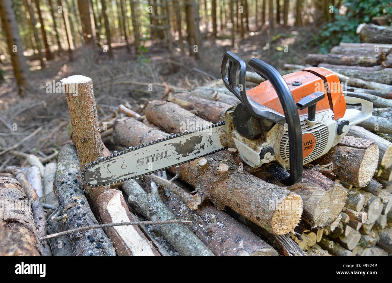 A motorsaw on a stack of firewood in the Black Forest, southern Germany, on Sept. 27, 2014. Stock Photo