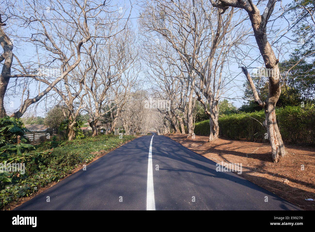 Tarred Road High Resolution Stock Photography and Images Alamy