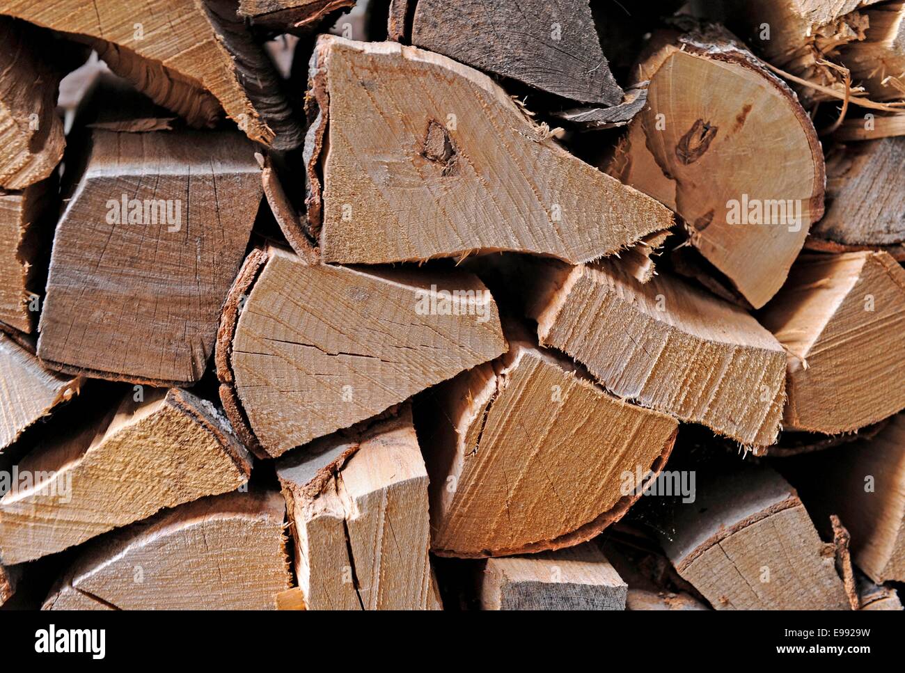 Stapled woodbillets,Tuebingen, southern Germany, on  Oct. 22, 2009. , southern Germany,. Stock Photo