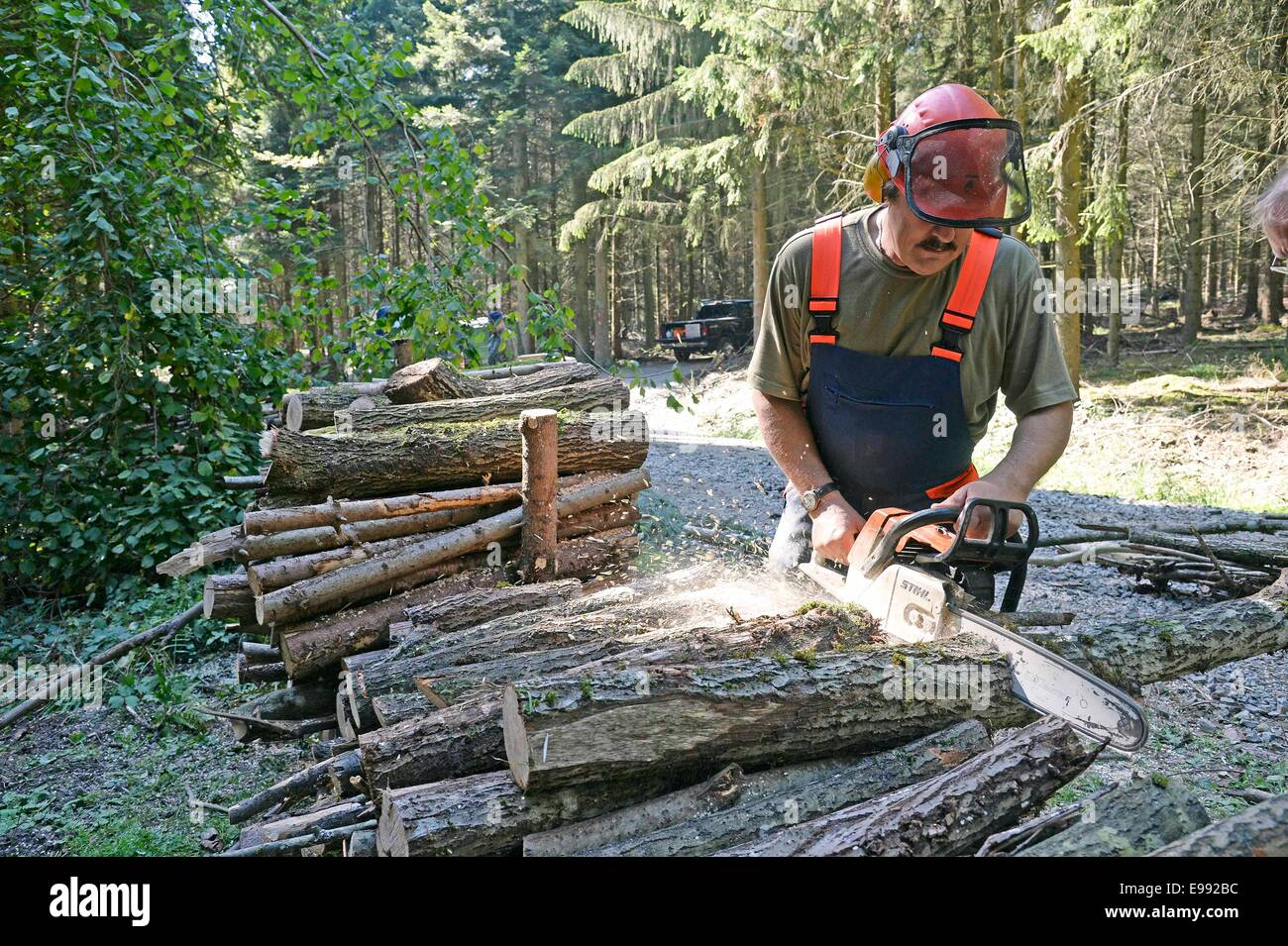 A man is sawing wood  in the Black Forest , southern Germany, on  Sept. 27, 2014. Stock Photo