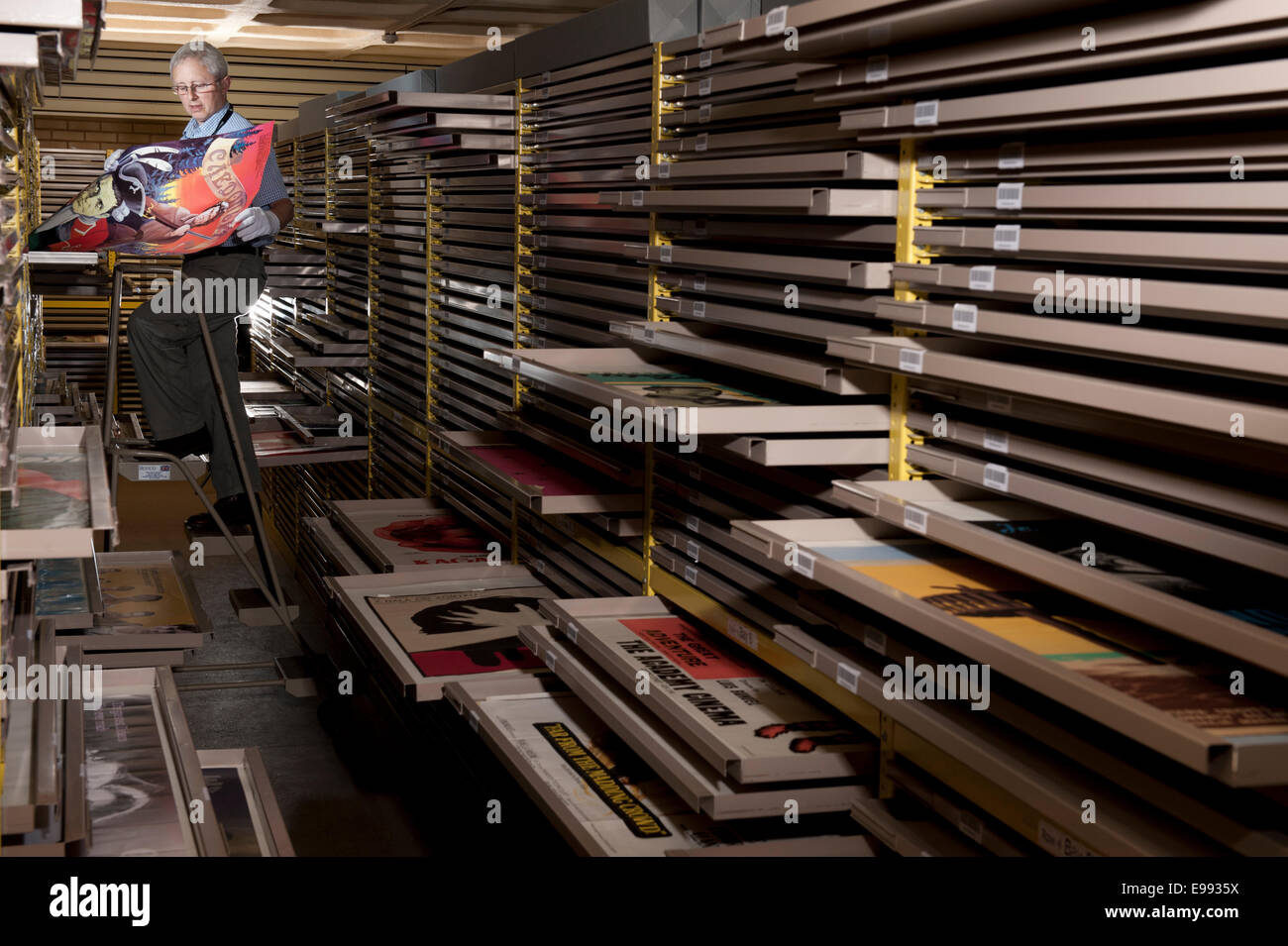 portrait of male member of staff at the BFI archive with all of the vintage film posters in storage draws to preserve them. Stock Photo