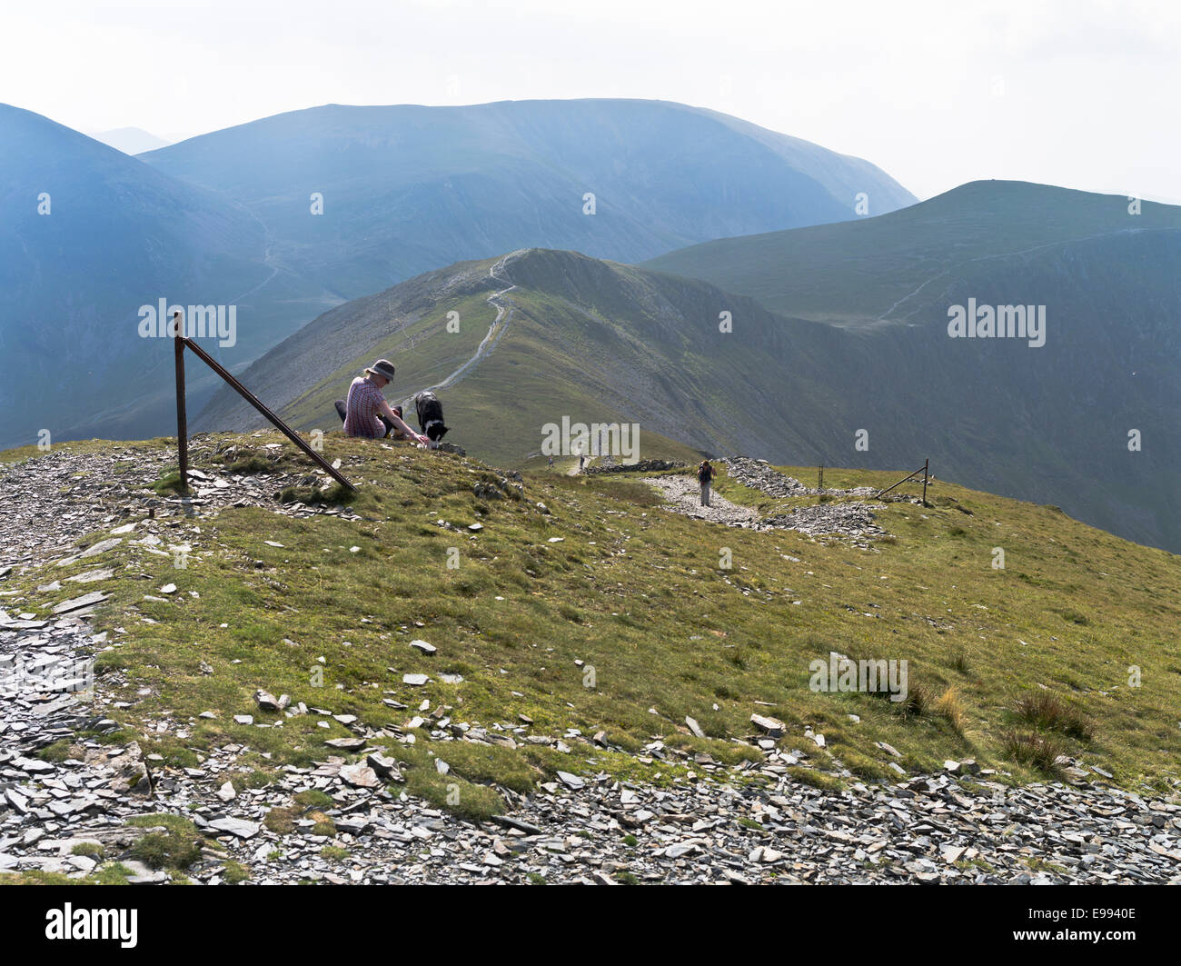 dh Hobcarton crag mountain uk GRISEDALE PIKE LAKE DISTRICT Woman with dog drinking water path one walking cumbria fells hill girl lakeland walker Stock Photo
