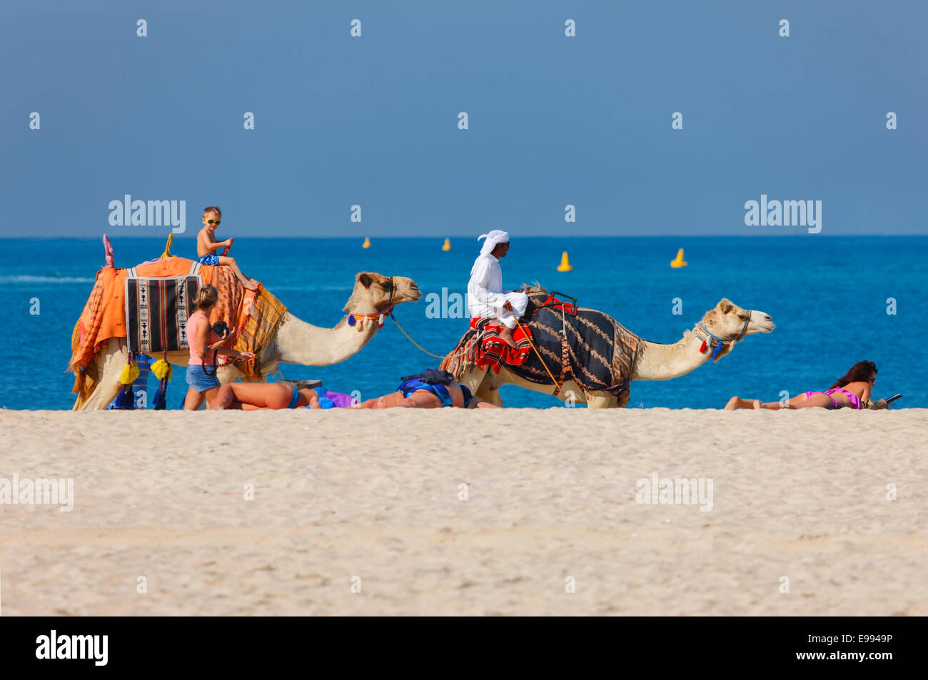 Camel ride in Dubai Beach - Jumeirah beach Stock Photo