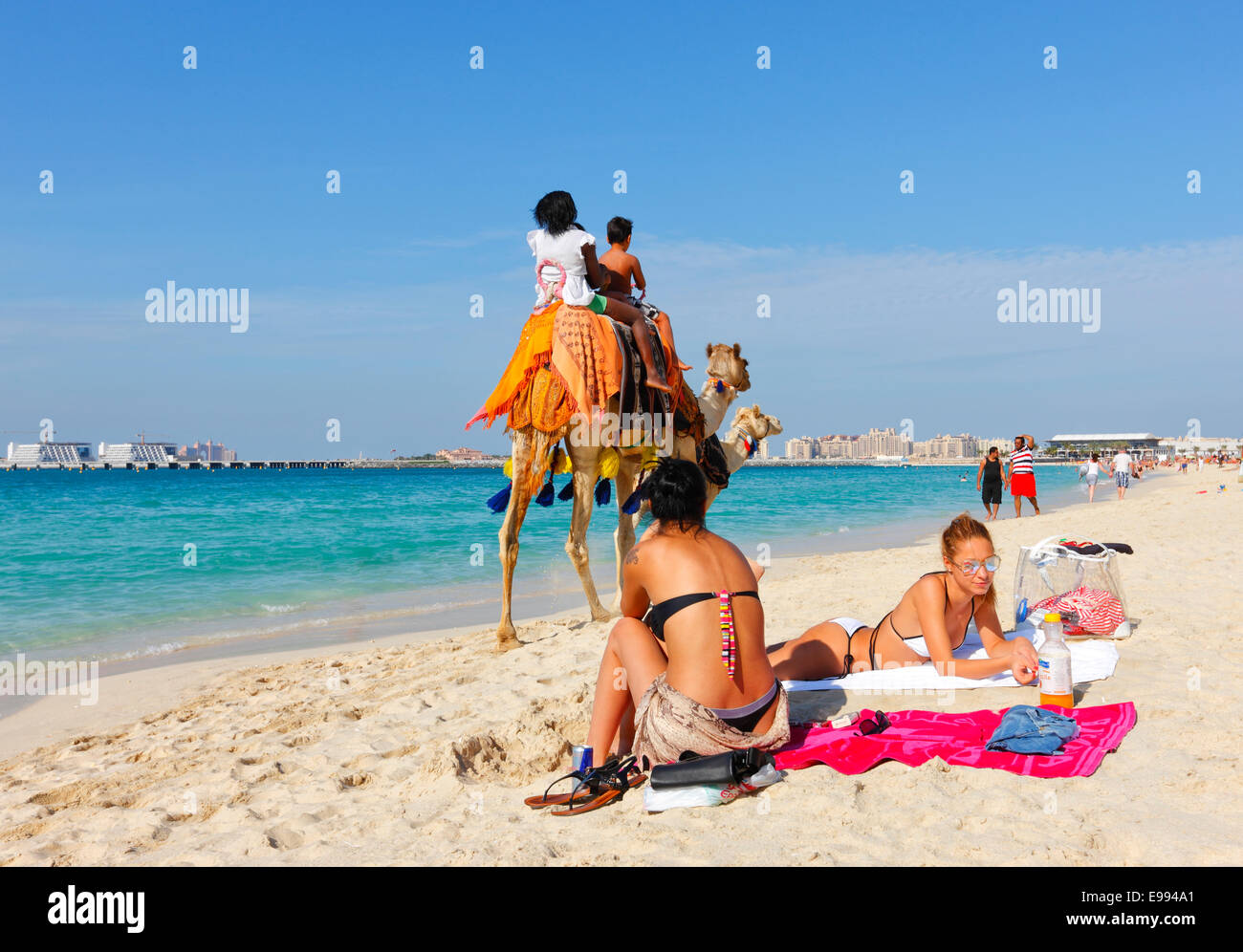 Camel Ride In Dubai Jumeirah Beach Stock Photo 74574361