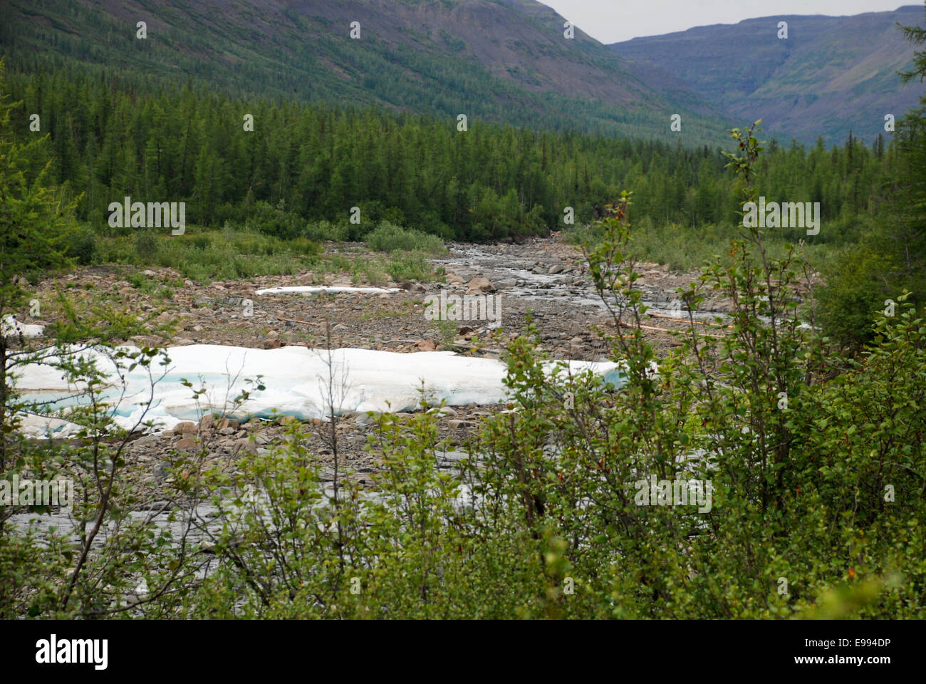 Timan Ridge The ice-field in the tideway of the mountain river. The Putorana ...