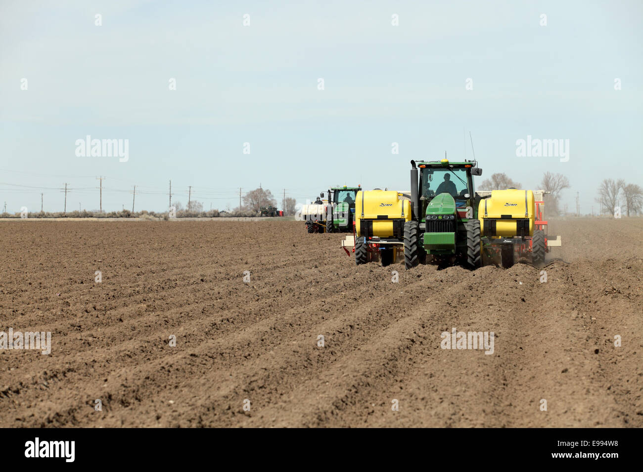 Potato planting Stock Photo