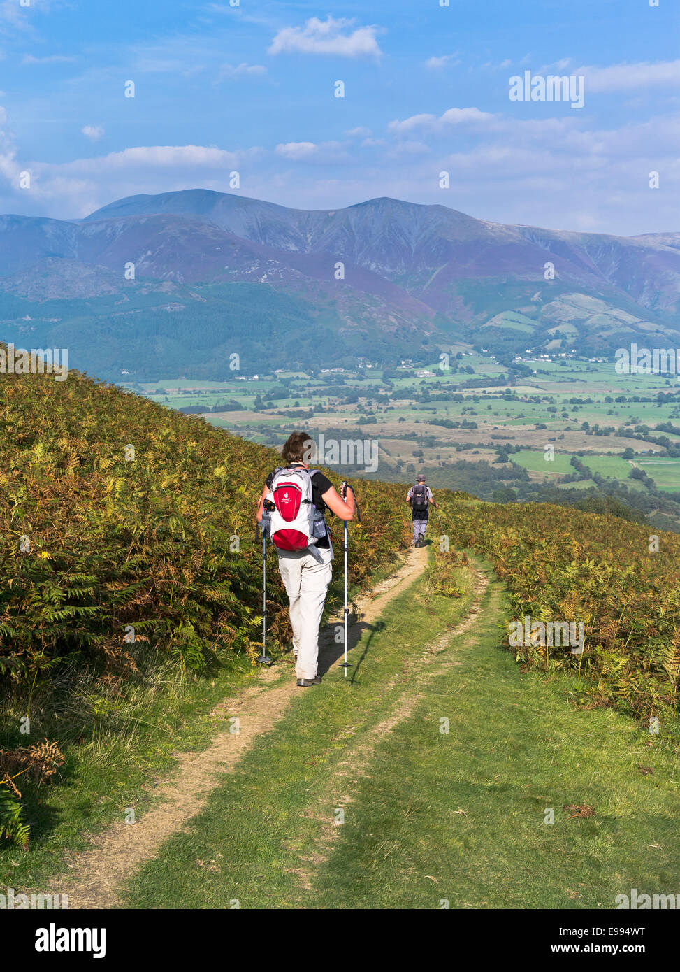 dh  GRISEDALE PIKE LAKE DISTRICT English Woman hiker walking cumbrian footpath with hiking sticks poles hikers uk autumn countryside one walk stick Stock Photo
