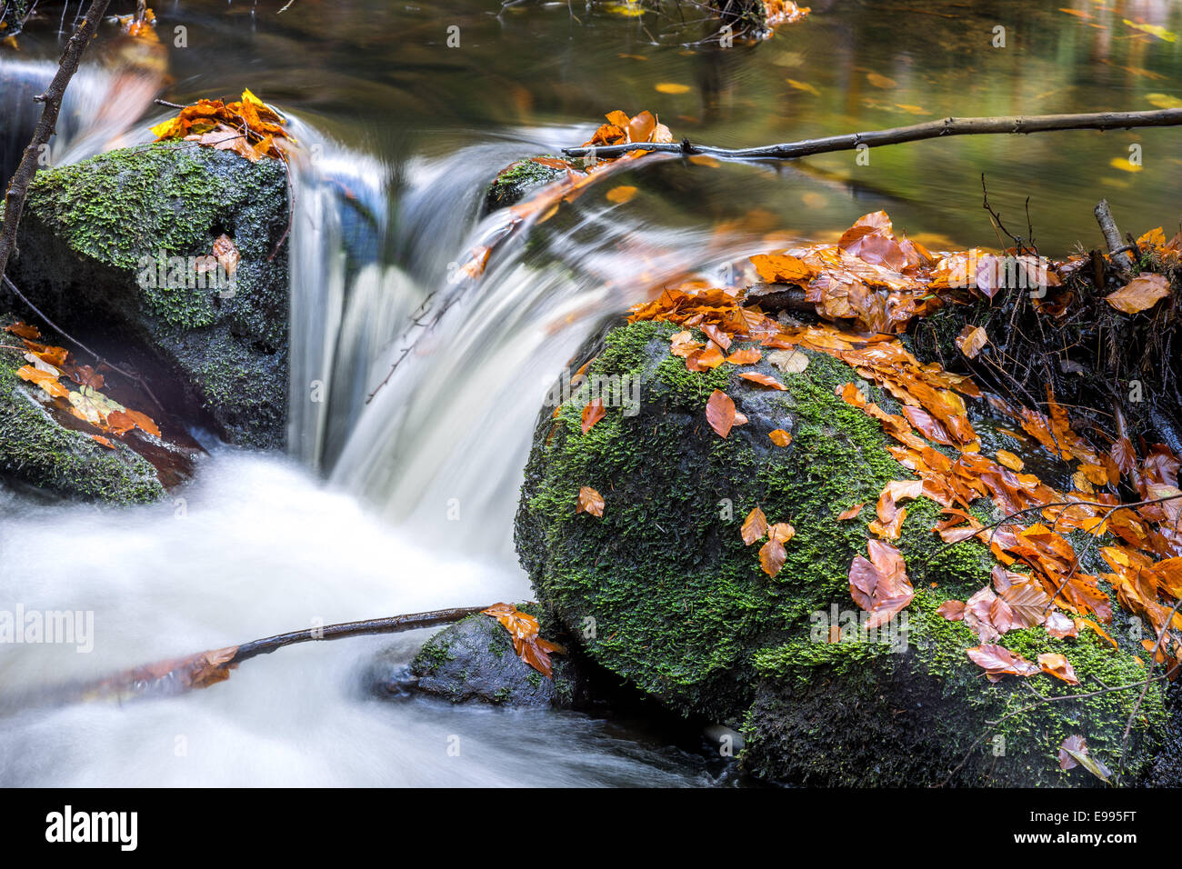 Current water flowing quickly between boulders covered with moss and fallen leaves Stock Photo