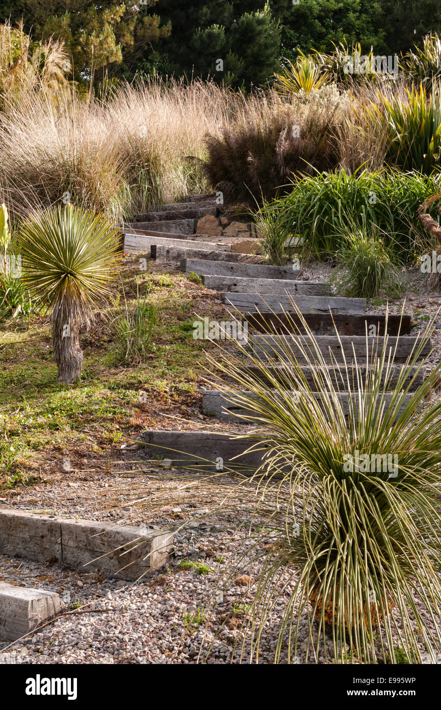 Tremenheere Sculpture Gardens, Penzance, Cornwall, UK. Planting includes dasylirion longissimum, yucca linearifolia, ischyrolepsis and pennisetum Stock Photo