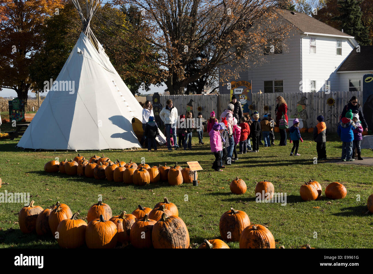 School children and their teachers visiting a pumpkin farm in northern