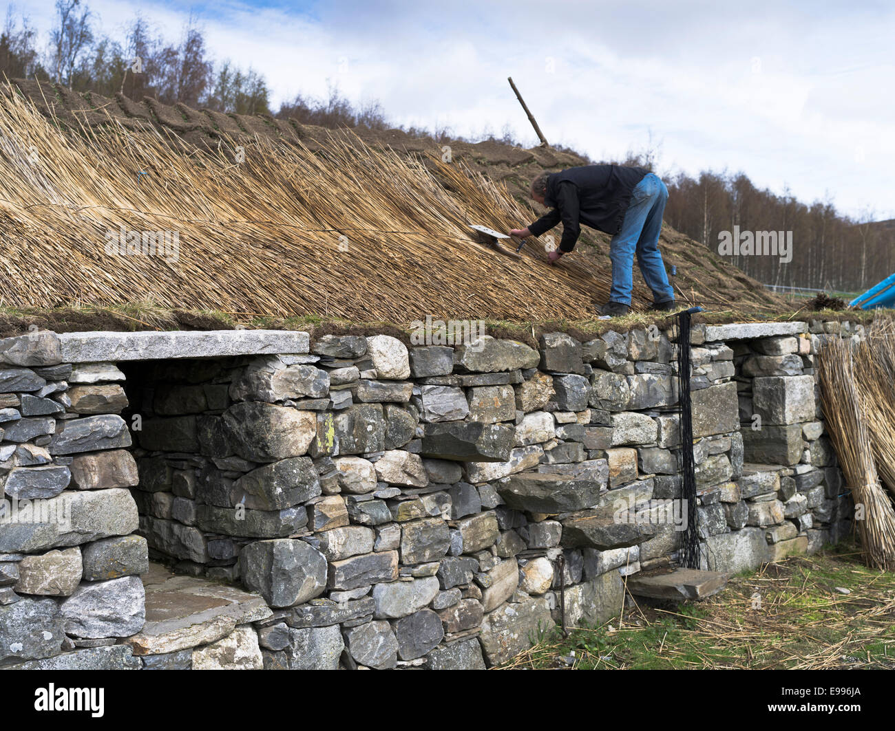 dh Highland Folk Museum NEWTONMORE INVERNESSSHIRE Man thatching croft cottage roof black house scottish blackhouse thatch construction scotland Stock Photo