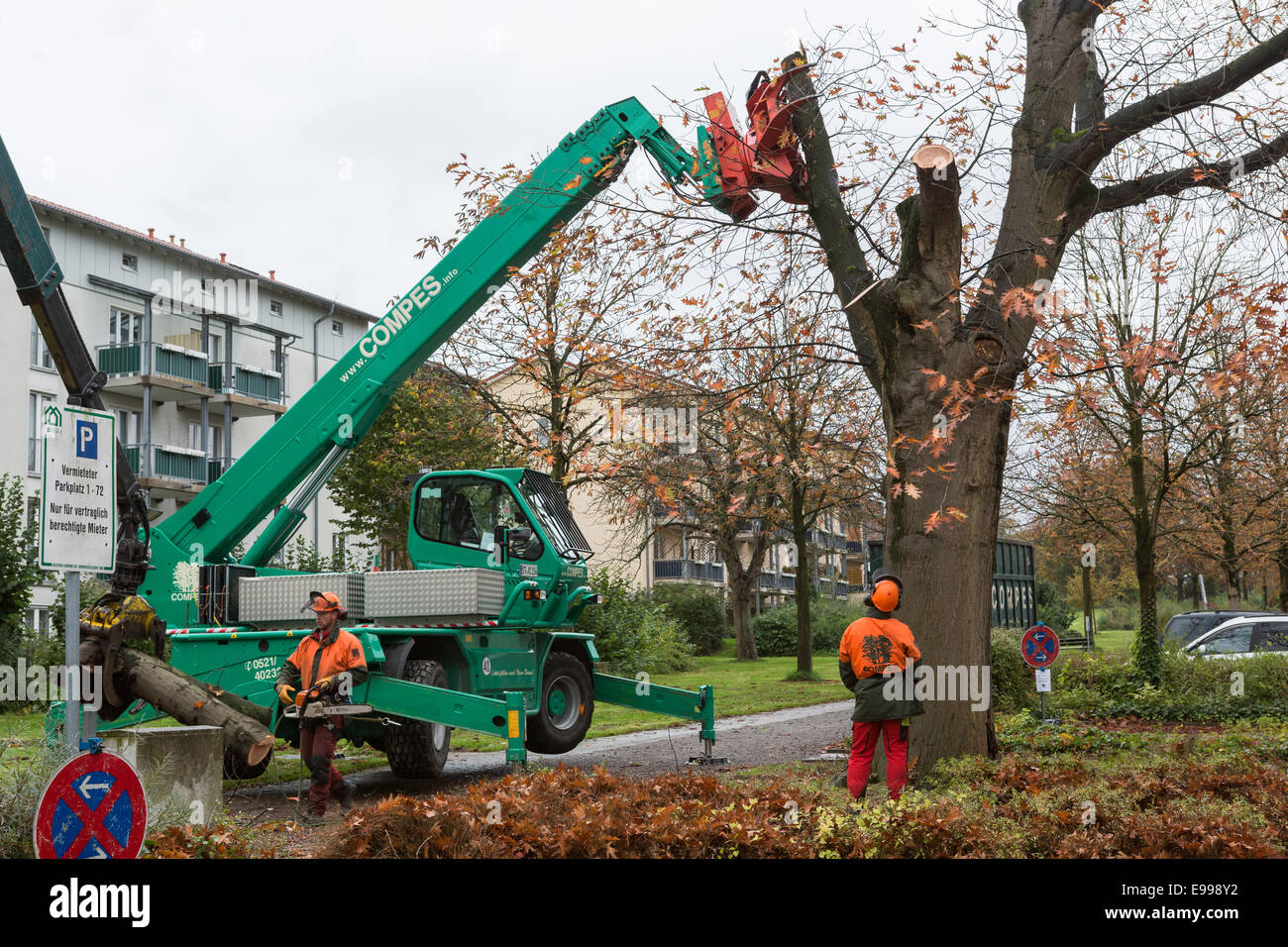 Workers chop down a tree at a housing estate in Bielefeld, Germany Stock Photo