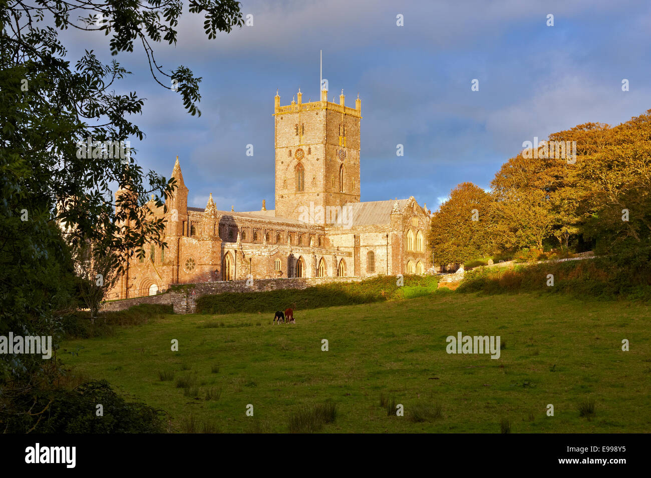 St David's Cathedral in the evening sunshine, Pembrokeshire Wales UK Stock Photo
