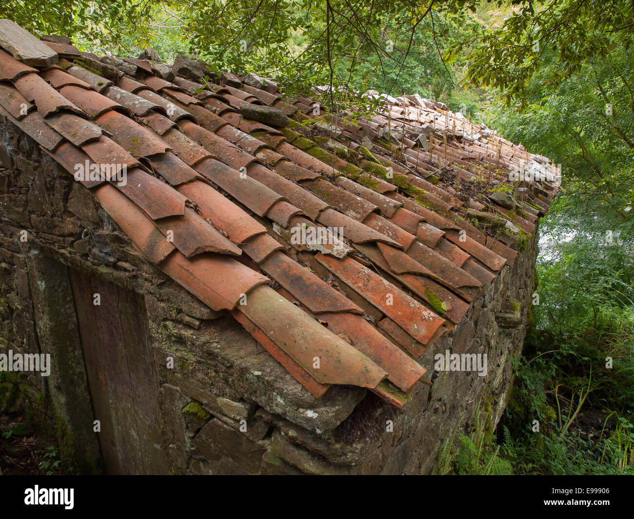 Roof detail in nature outdoors Stock Photo