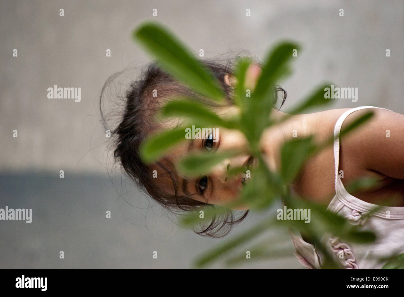 Cute Indian girl with long black hair peeping from behind a tree. Stock Photo