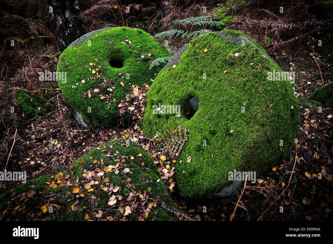 Abandoned millstones covered in green moss at Bolehill quarry in Derbyshire. Stock Photo
