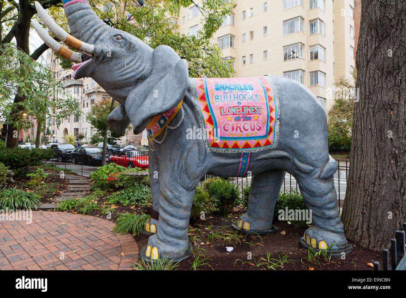 Circus elephant hires stock photography and images Alamy