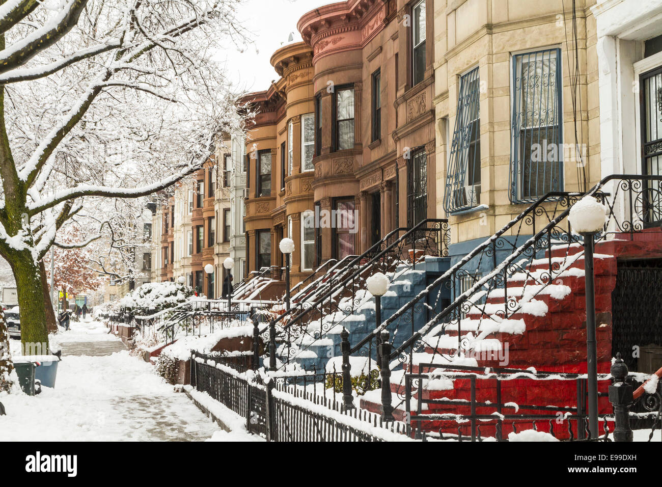 Snow on the trees and the stoops of historic Brownstone apartments in Crown Heights, Brooklyn Stock Photo