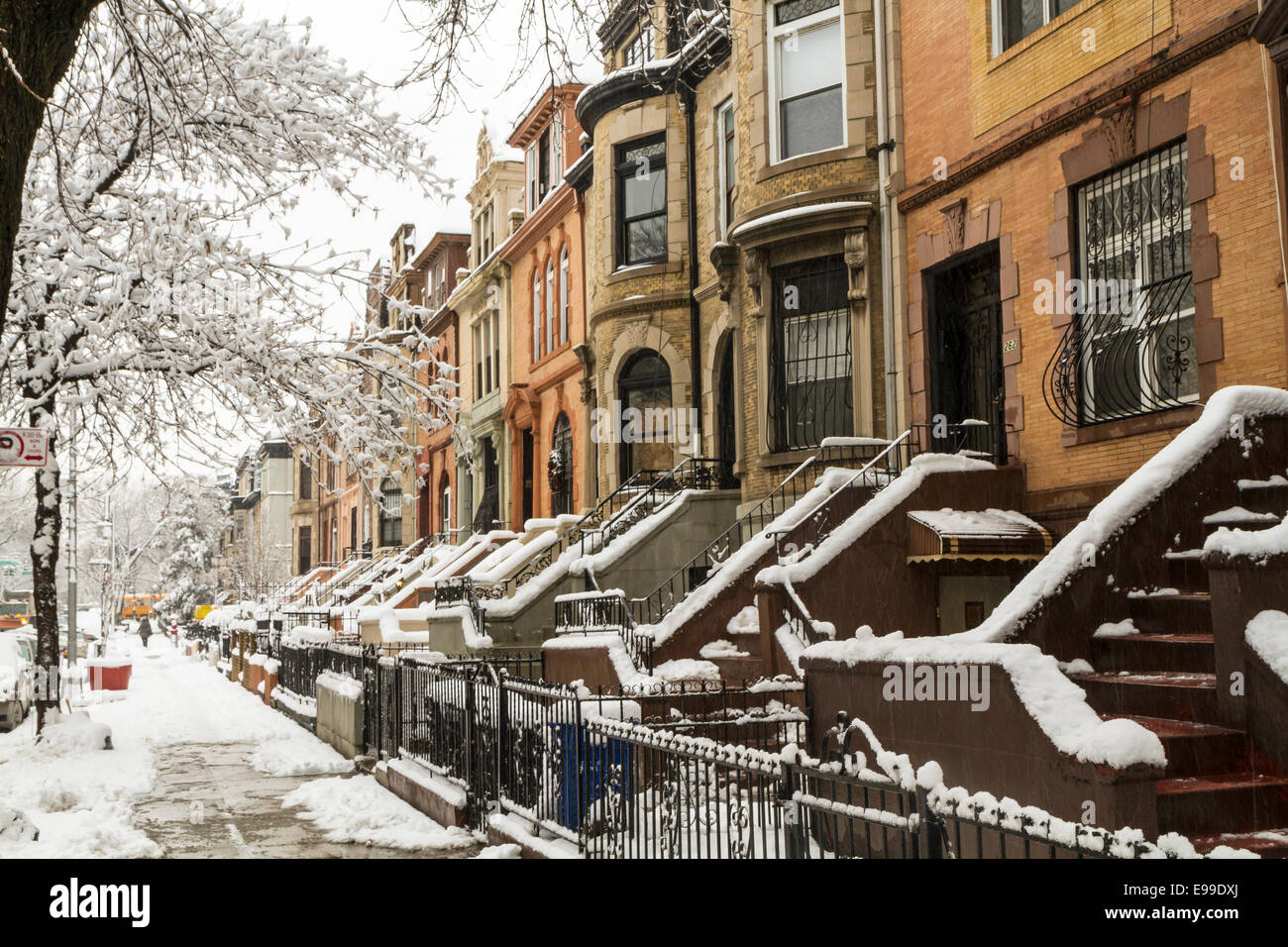 Snow on the trees and the stoops of historic Brownstone apartments in Crown Heights, Brooklyn Stock Photo