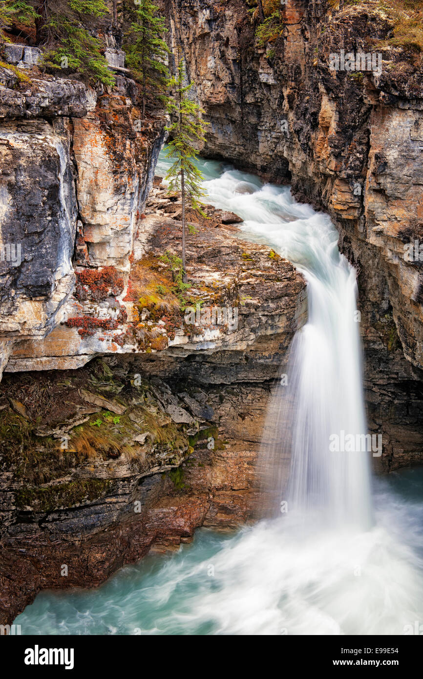 Beauty Creek pours over one of the many unnamed waterfalls in Alberta's Canadian Rockies and Jasper National Park. Stock Photo