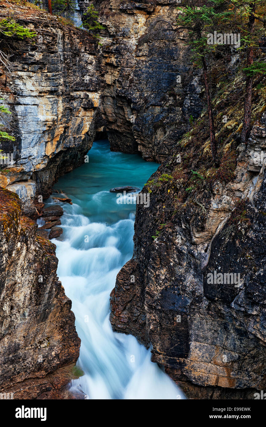 Beauty Creek rushes through this narrow slot canyon in Alberta's Canadian Rockies and Jasper National Park. Stock Photo