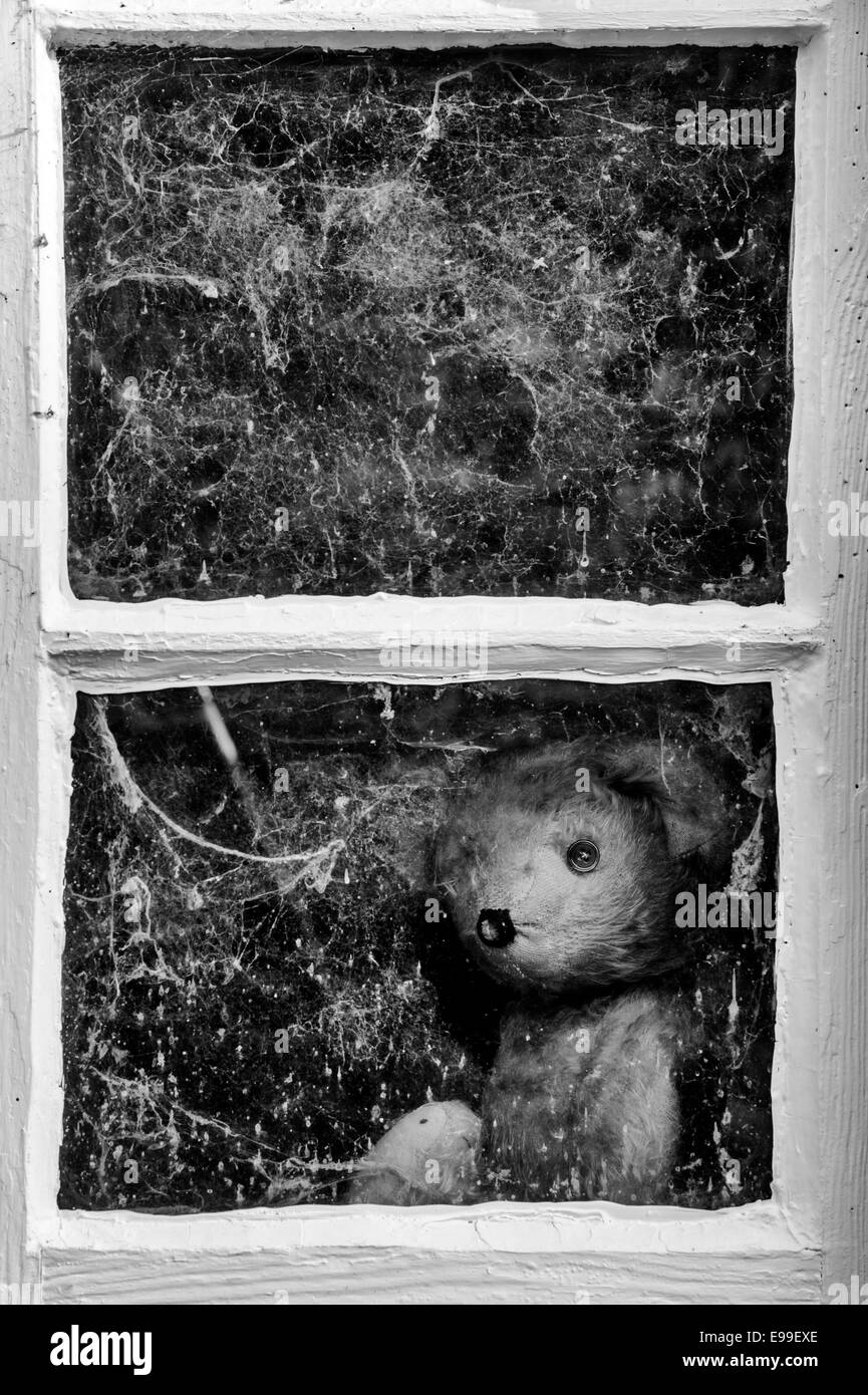 Threadbare One Eyed Teddy bear looking out of an old shed window covered in cobwebs. Monochrome Stock Photo