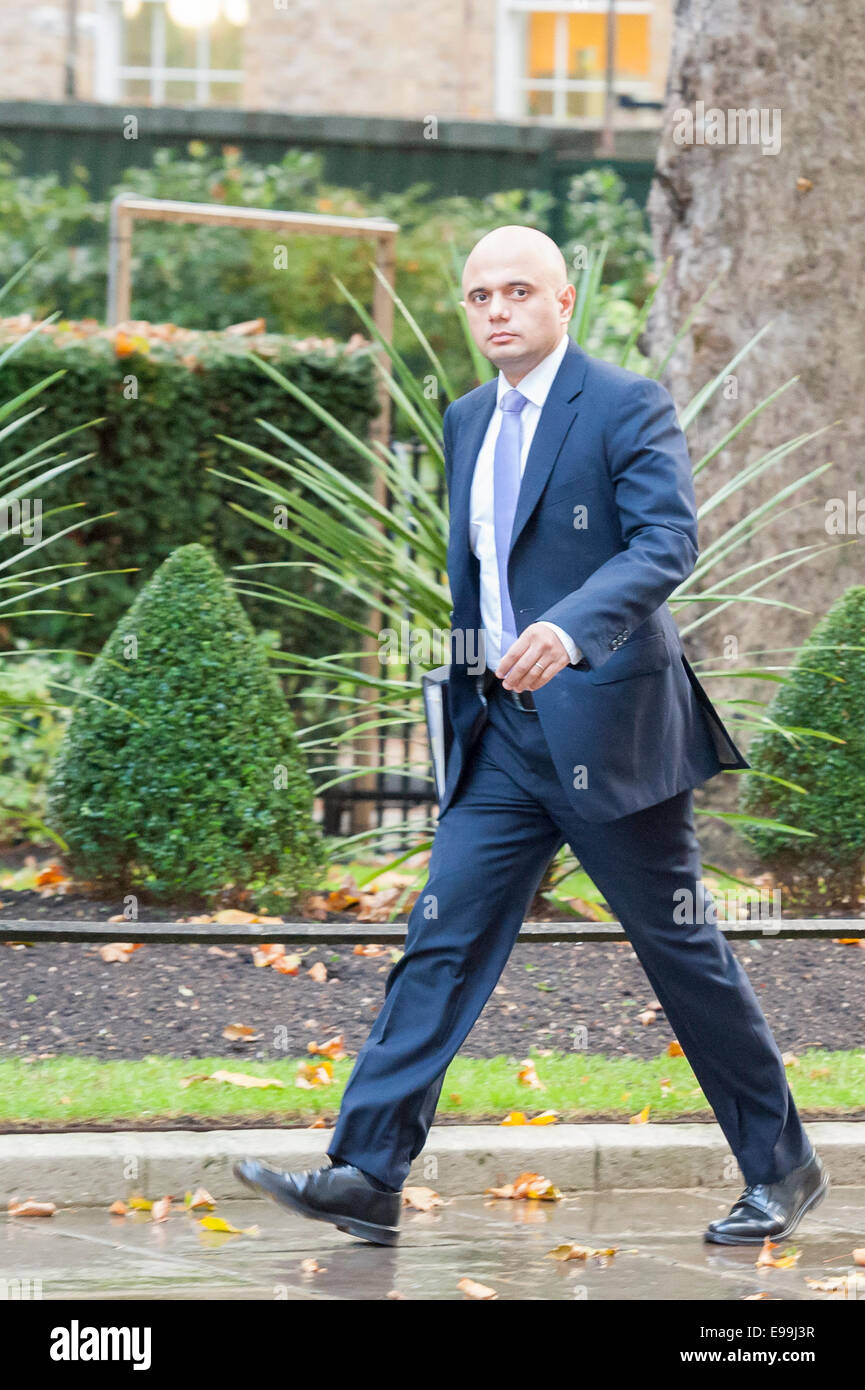 Downing Street, London, UK. 21st October 2014. Ministers attend the weekly cabinet meeting at 10 Downing Street in London. Pictured: Secretary of State for Culture  Media and Sport -  Sajid Javid. Credit:  Lee Thomas/Alamy Live News Stock Photo