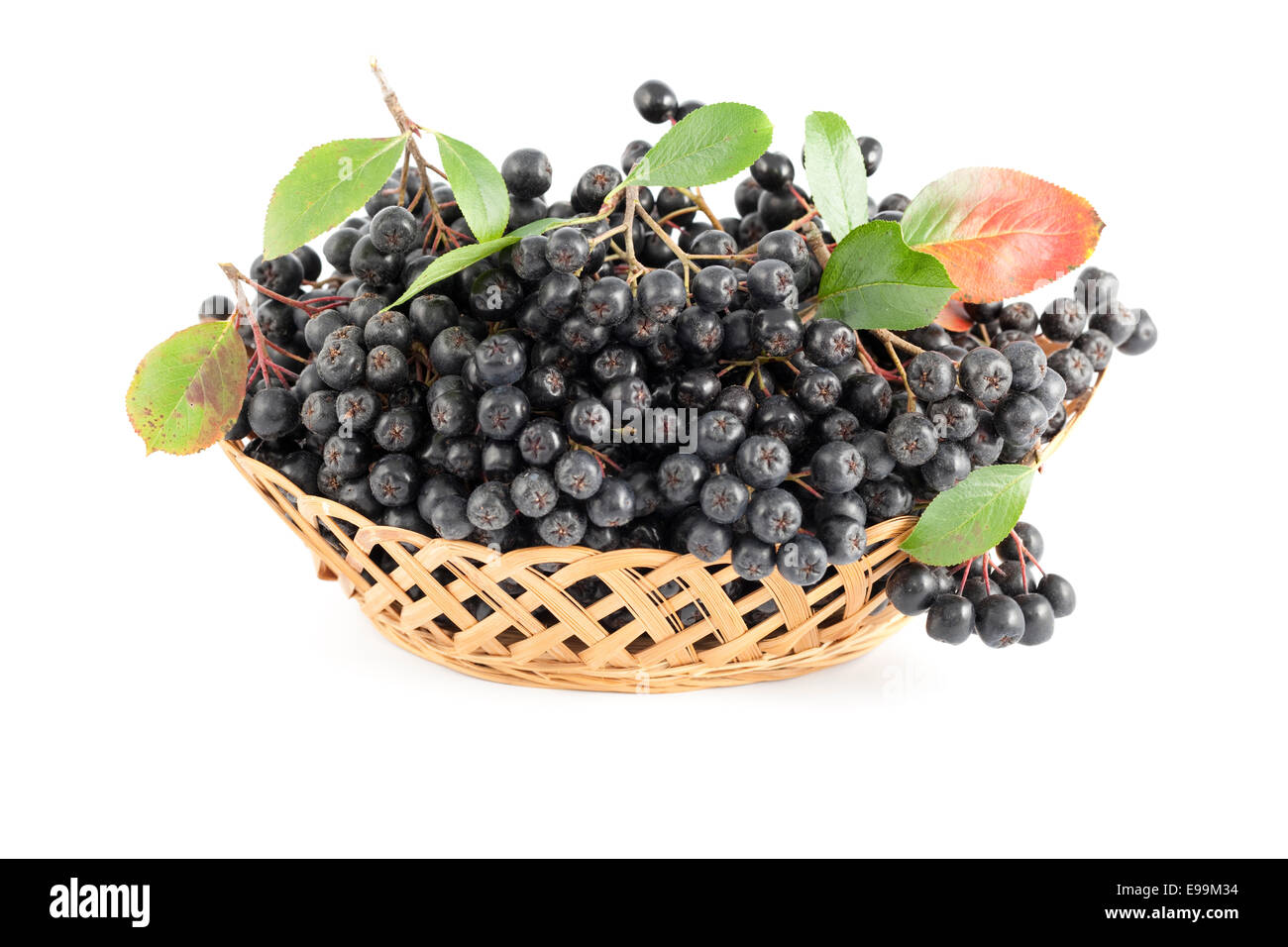 cluster black aronia in basket on white  background Stock Photo