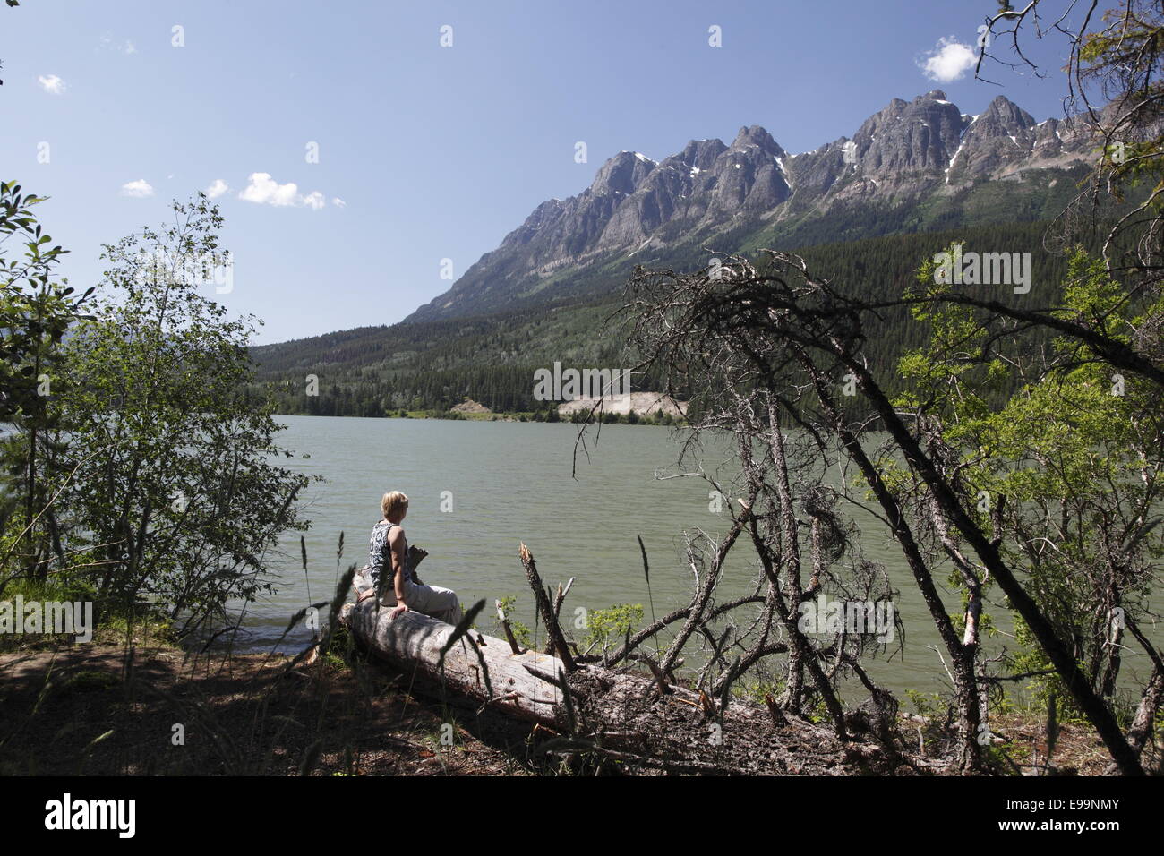 Yellowhead Lake Stock Photo Alamy