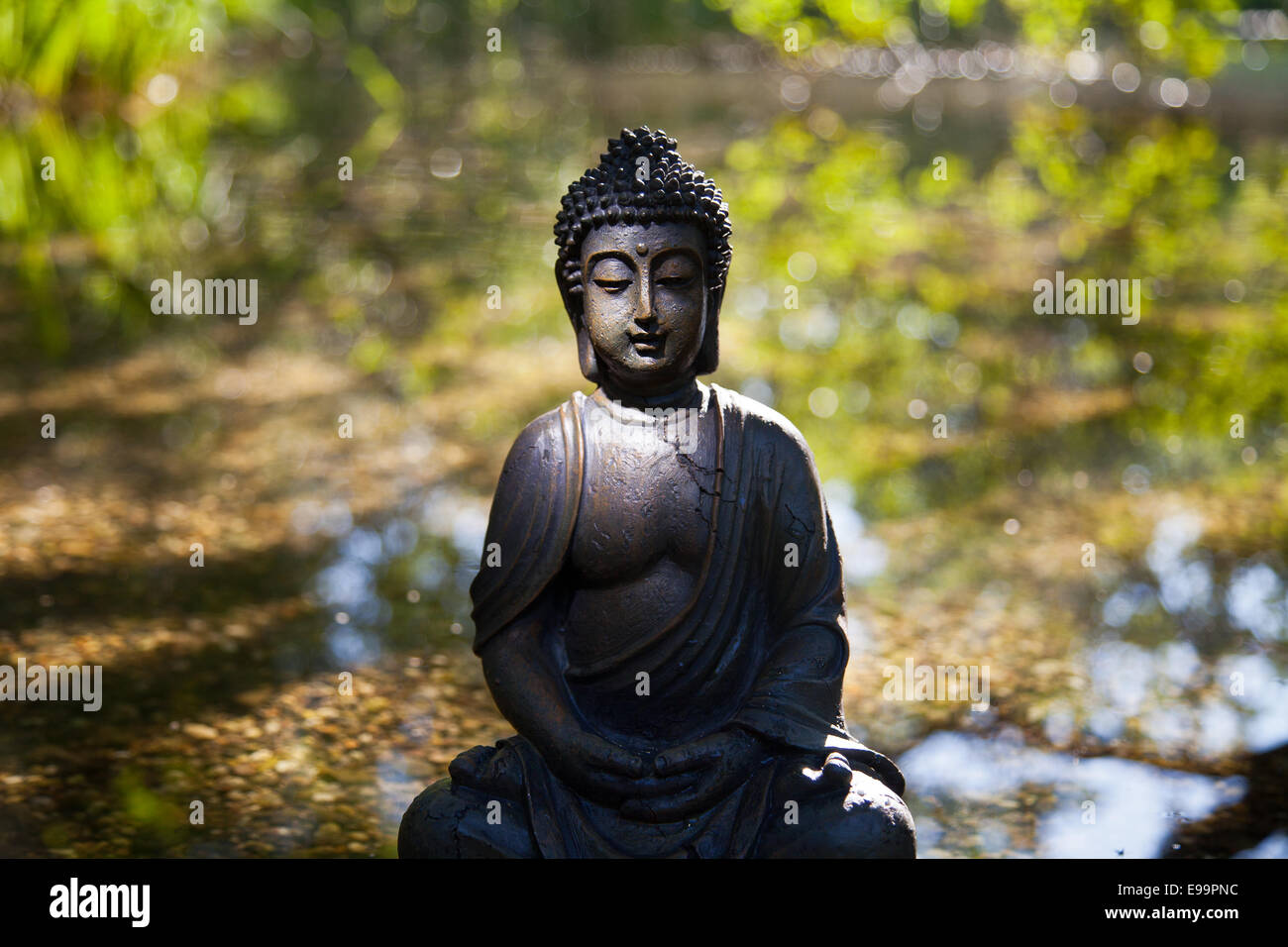 Buddha Meditation in the water Stock Photo - Alamy