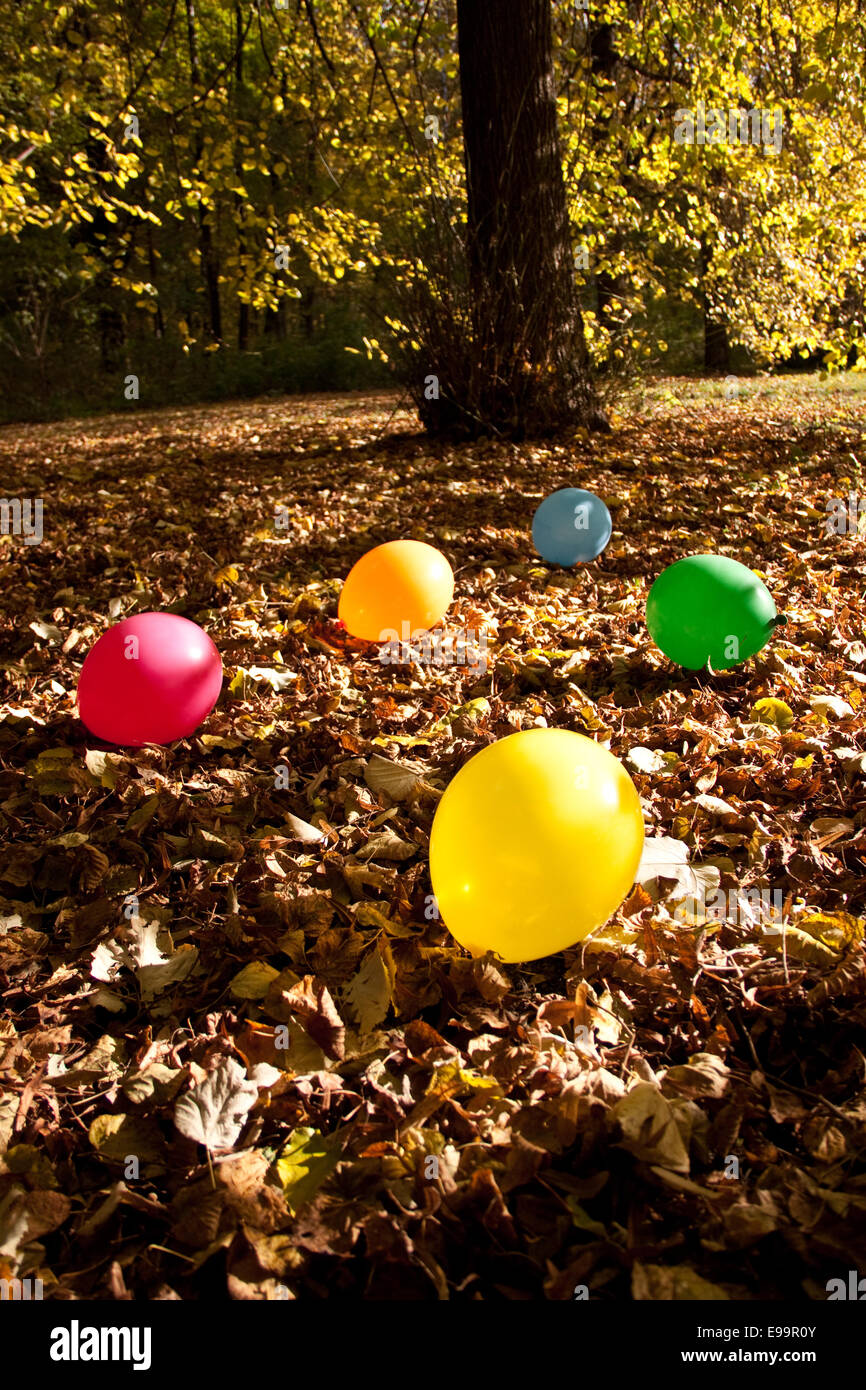 Colorful balloons lying in autumn leaves Stock Photo - Alamy