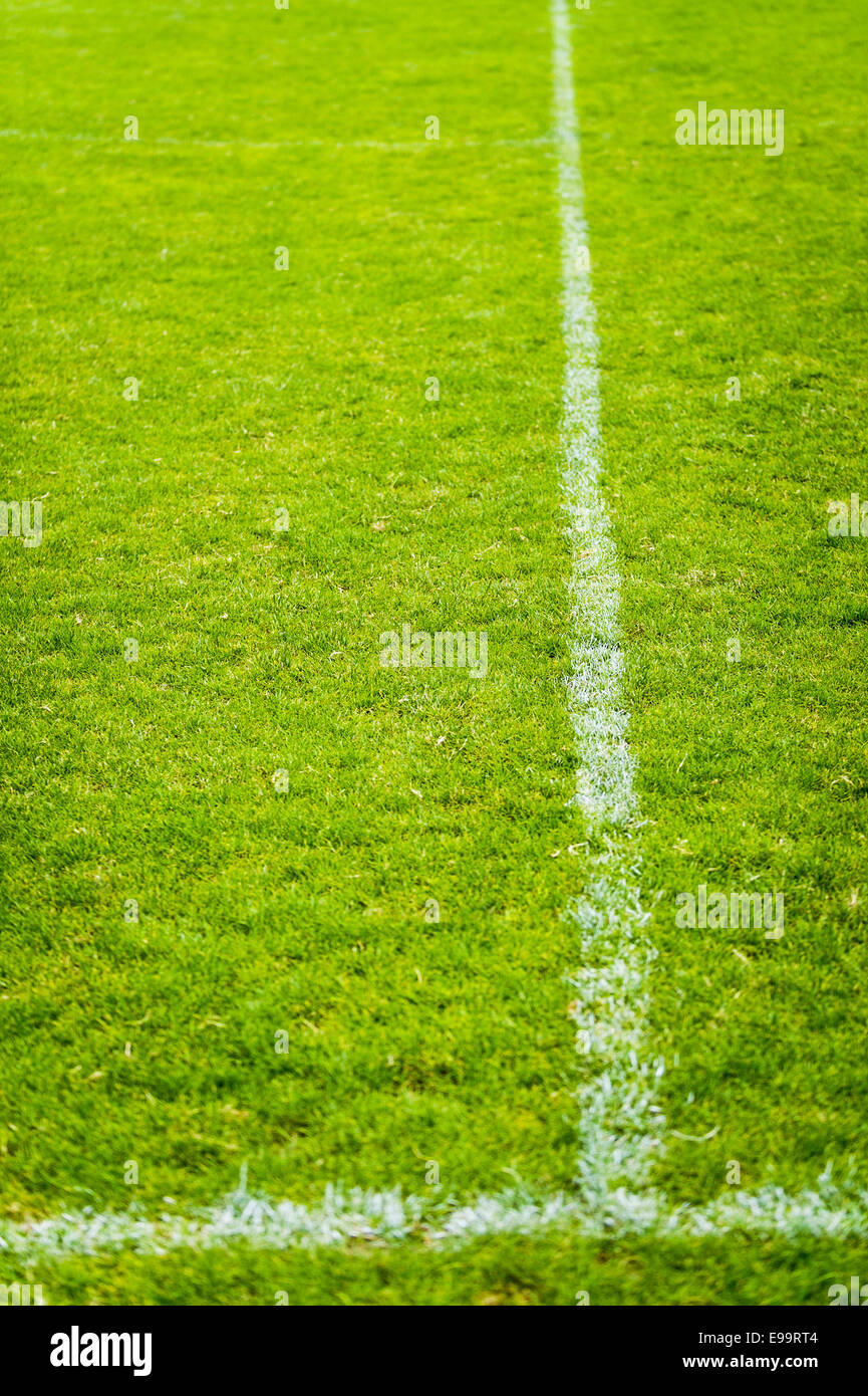 Lines on a football field Stock Photo Alamy
