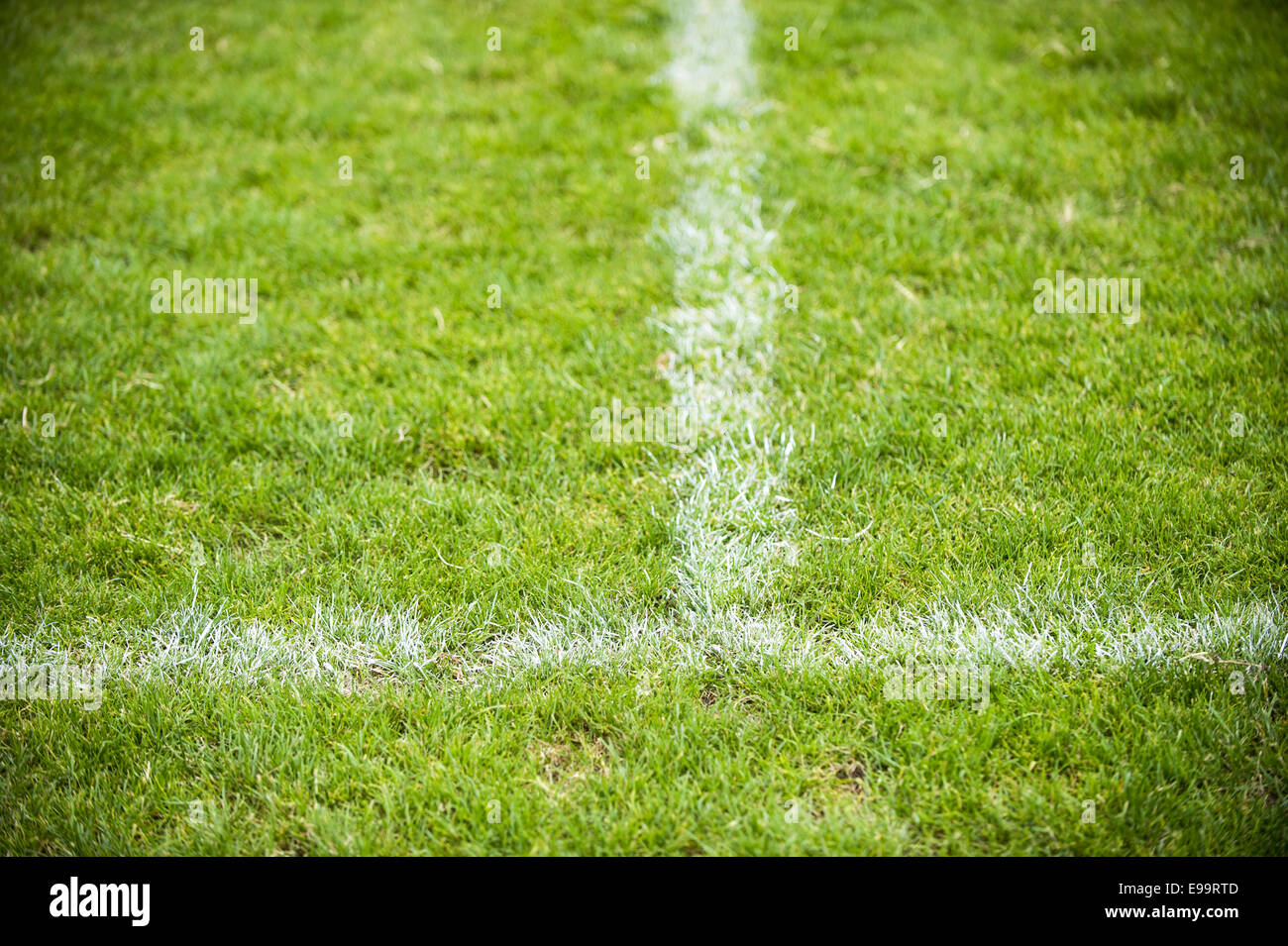 Lines on a football field Stock Photo Alamy