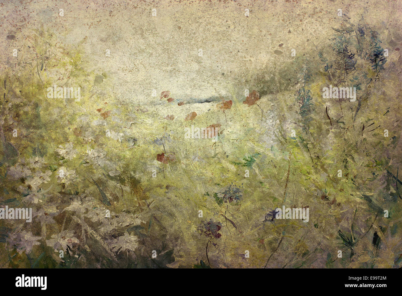 painted poppies on parchment Stock Photo