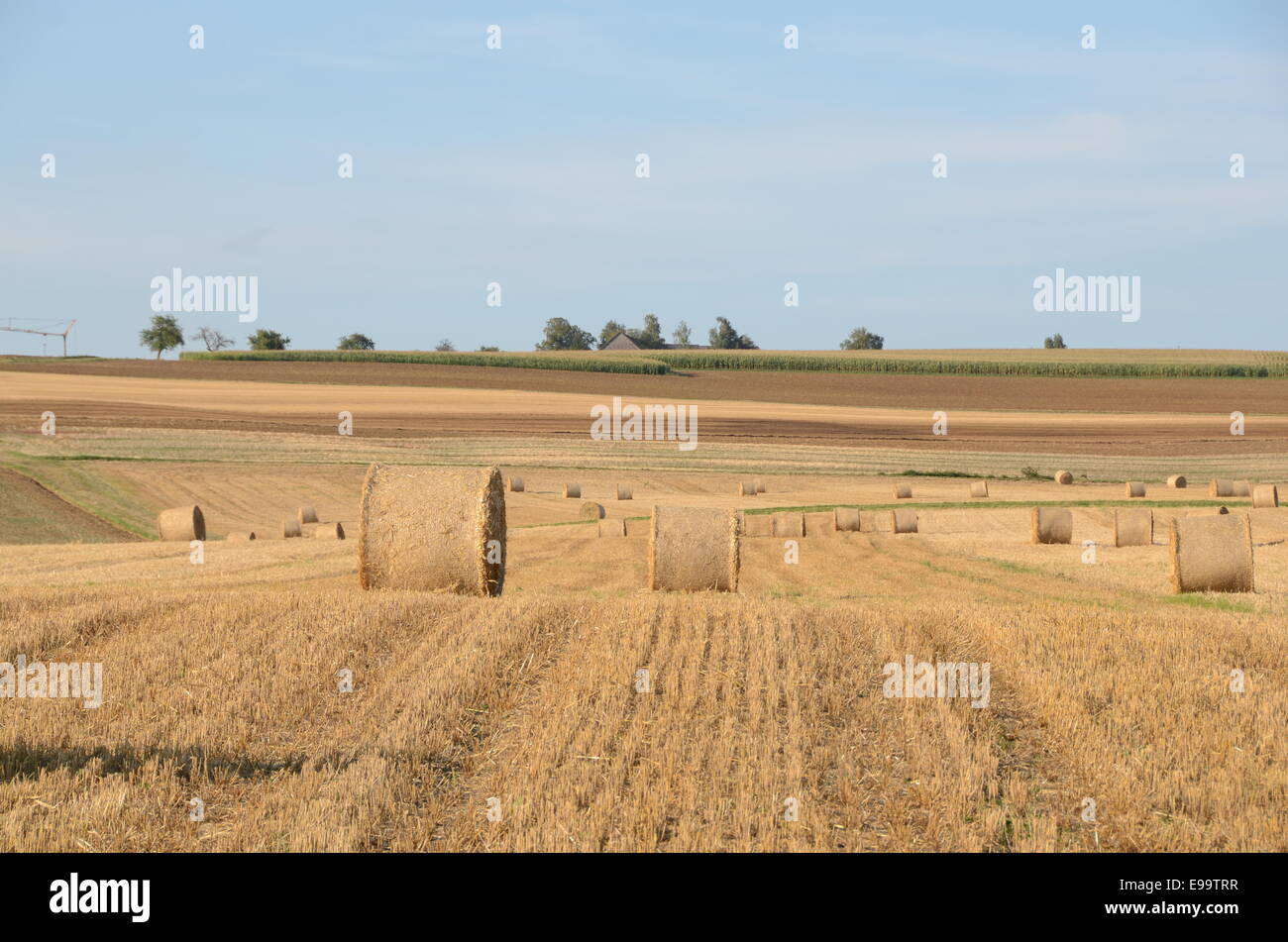 landscape with bale of straw Stock Photo - Alamy