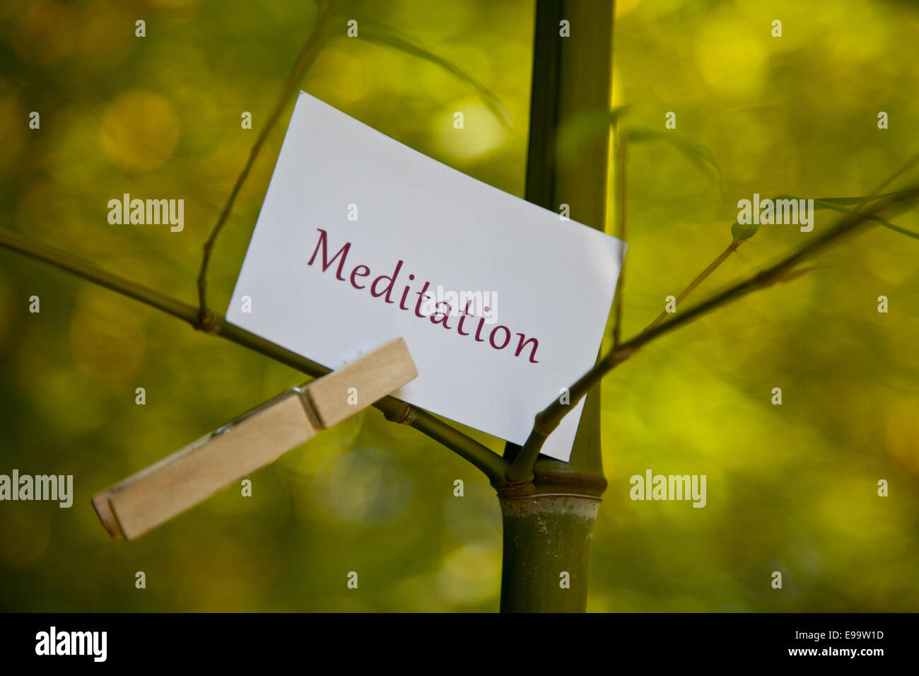 The word Meditation on paper in nature Stock Photo - Alamy
