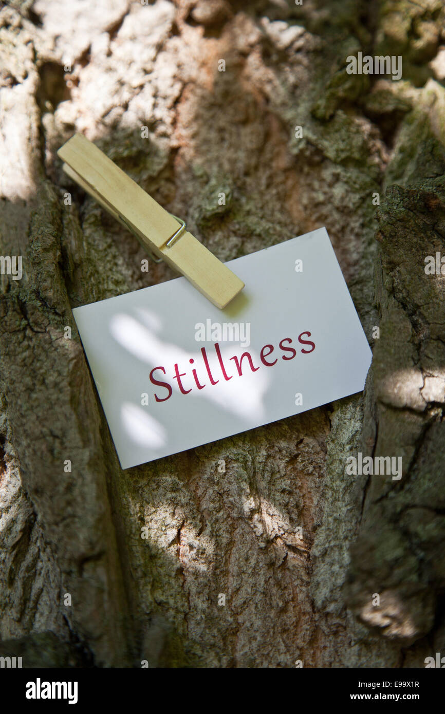The word Stillness on paper in nature Stock Photo