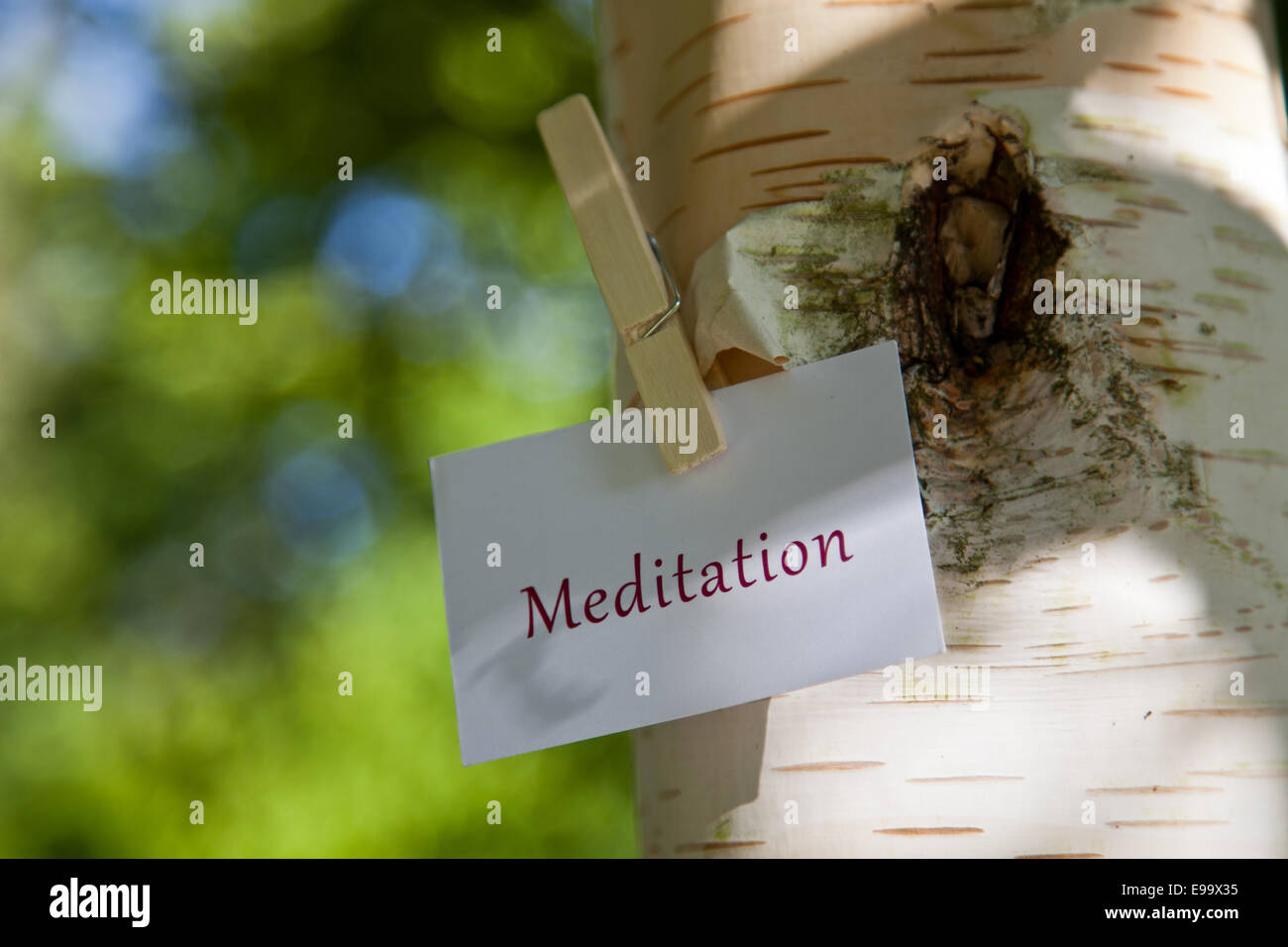 The word Meditation on paper in nature Stock Photo - Alamy