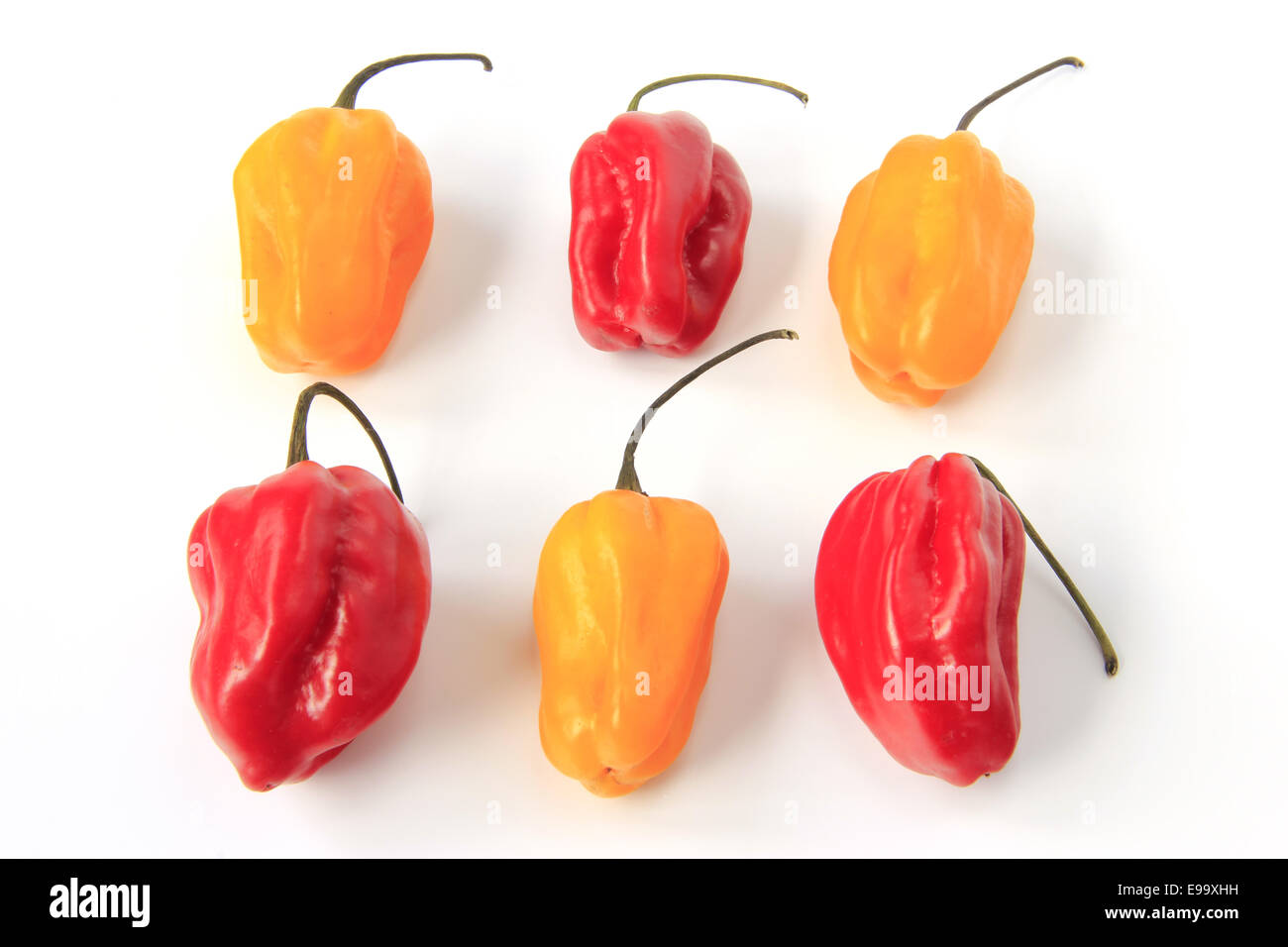 Habanero Peppers (Capsicum chinense Stock Photo - Alamy