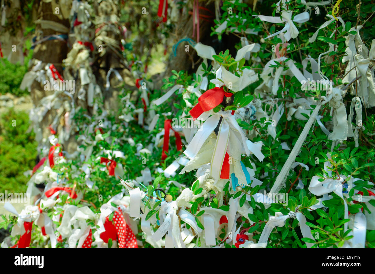 Wish tree Stock Photo