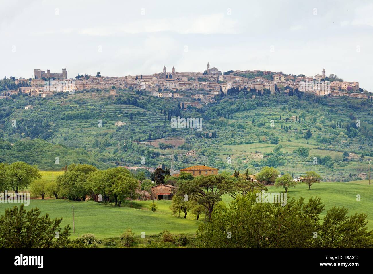 Typical landscape in the Val d'Orcia (Siena Stock Photo