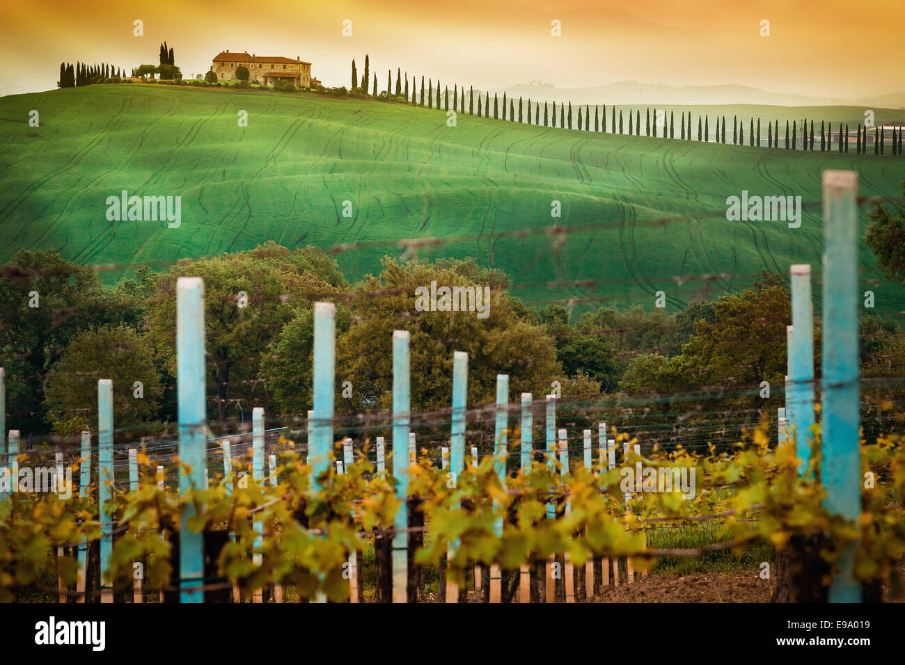 Rural countryside in Italy region of Tuscany Stock Photo