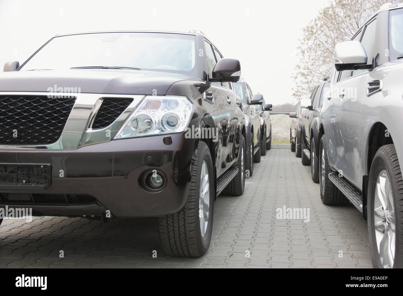 Group of cars Stock Photo Alamy